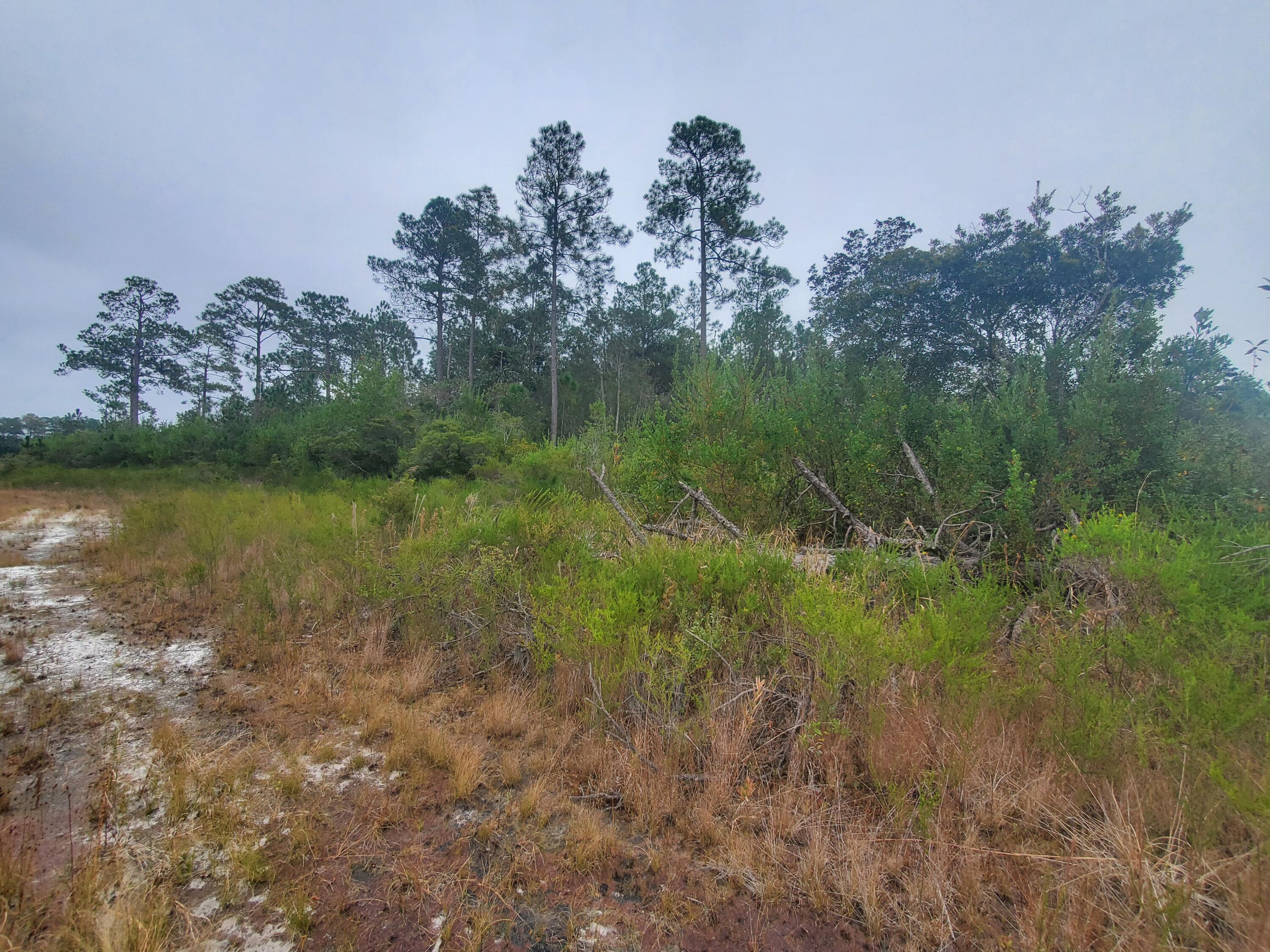 LAKE ROSEMARY SOUTH - Land