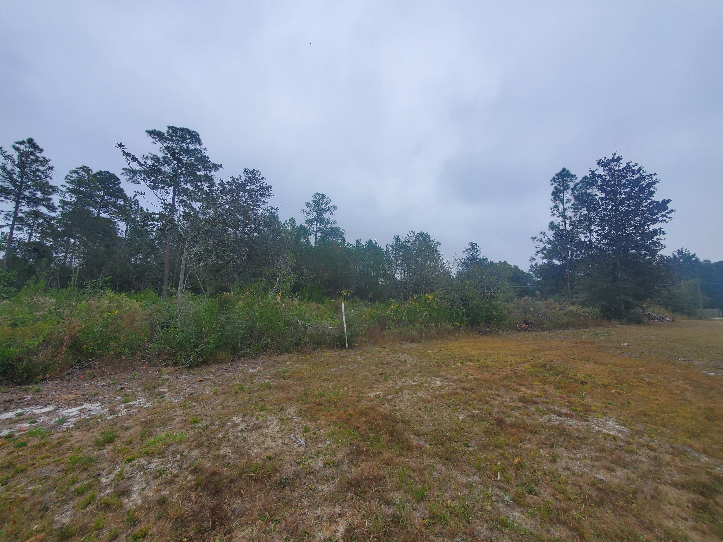 LAKE ROSEMARY SOUTH - Land