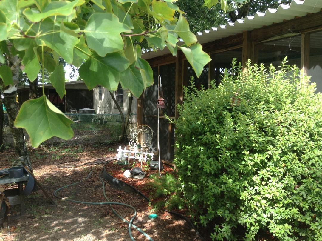 RACETRACK - Residential