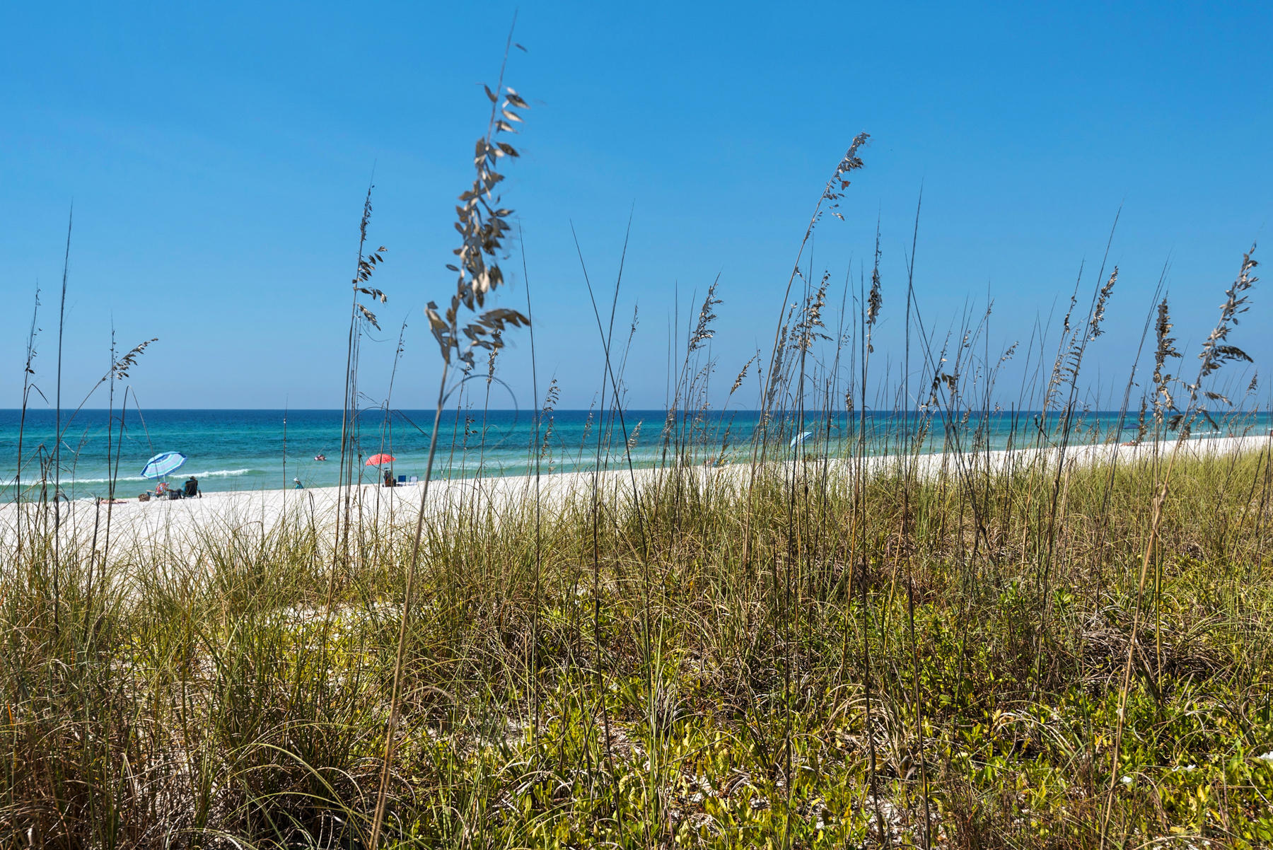 LAGUNA BEACH ESTATES 7TH ADDN - Residential