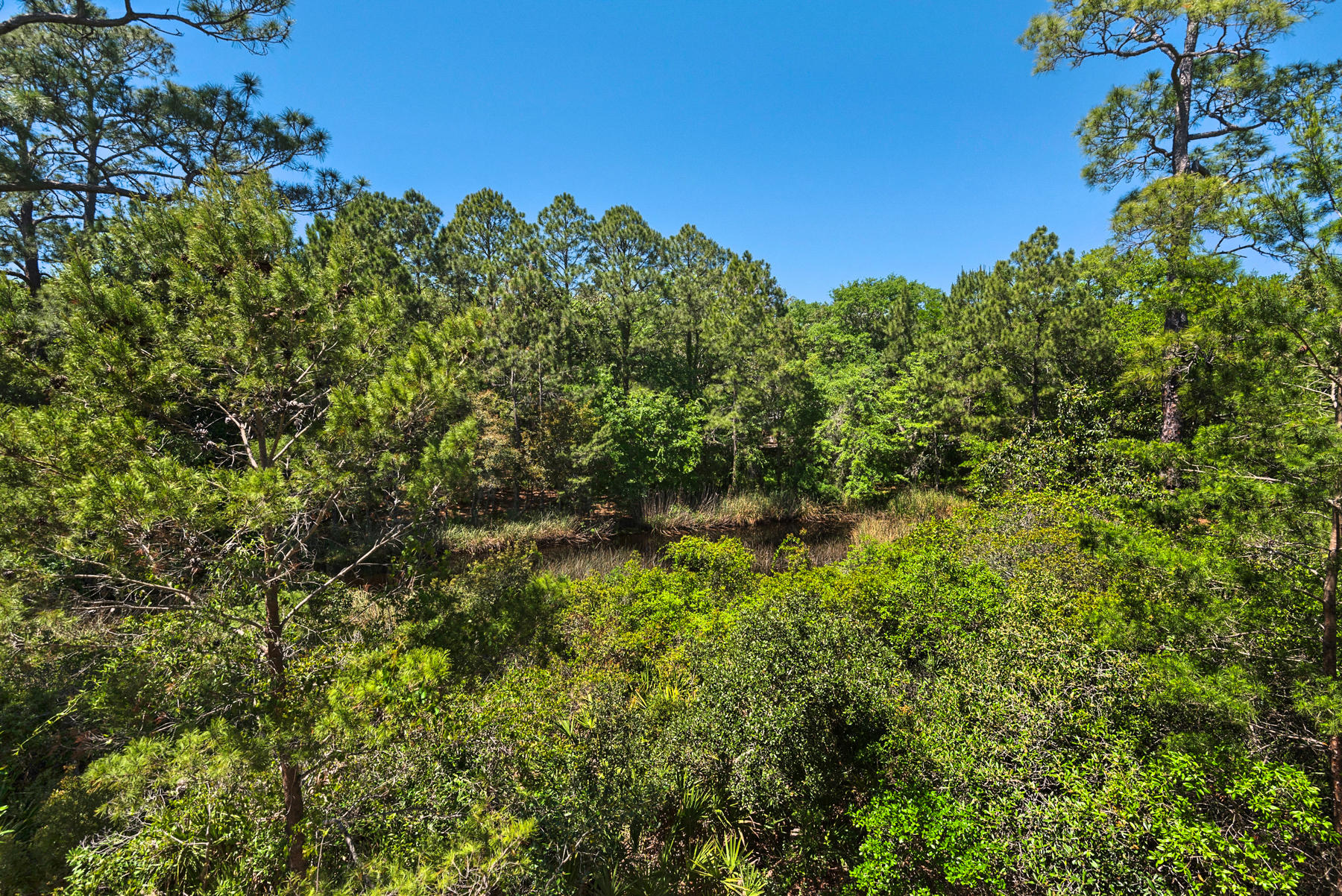 LAKEPLACE AT GRAYTON BEACH - Residential