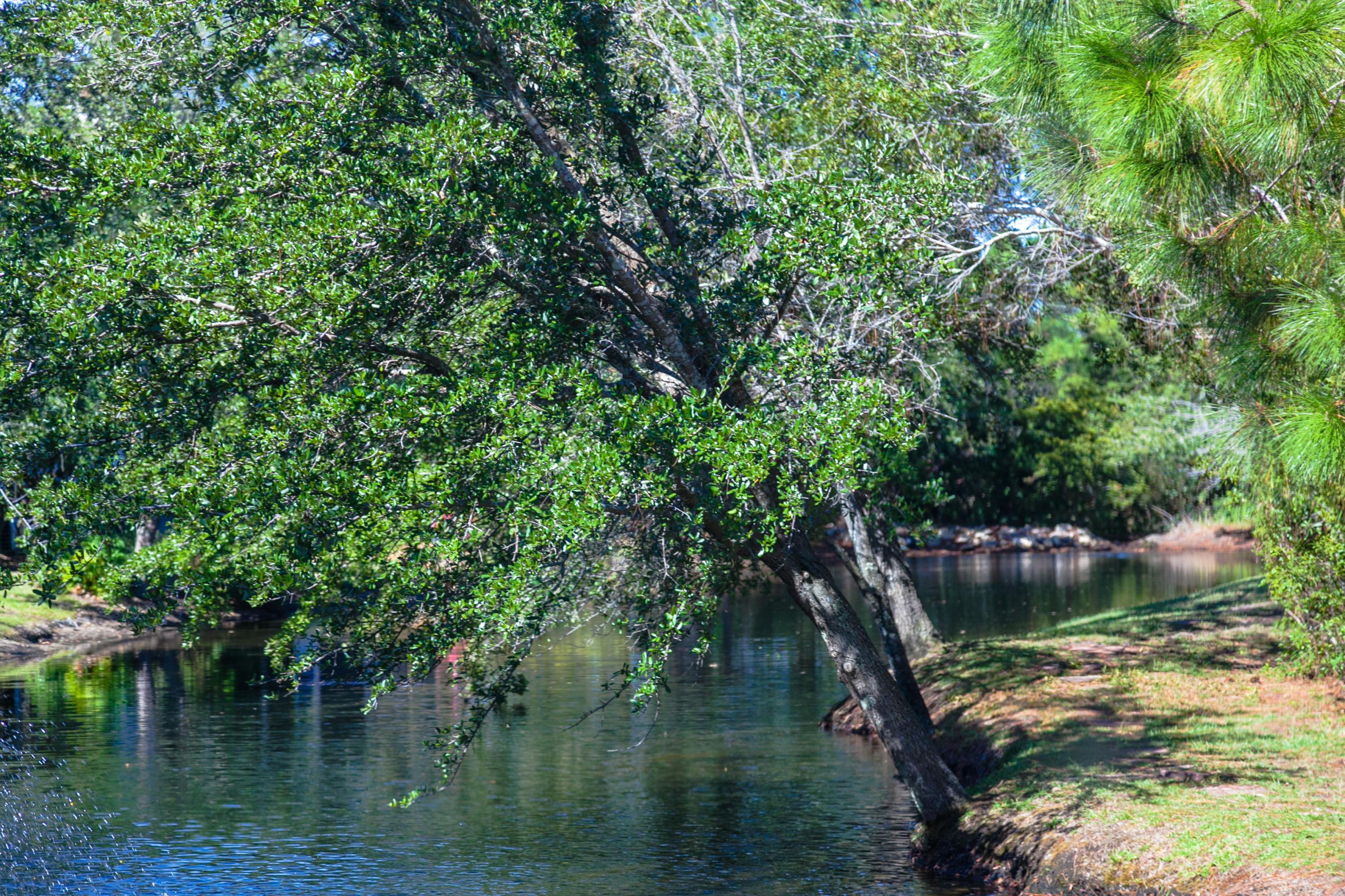 ESCADA - Residential