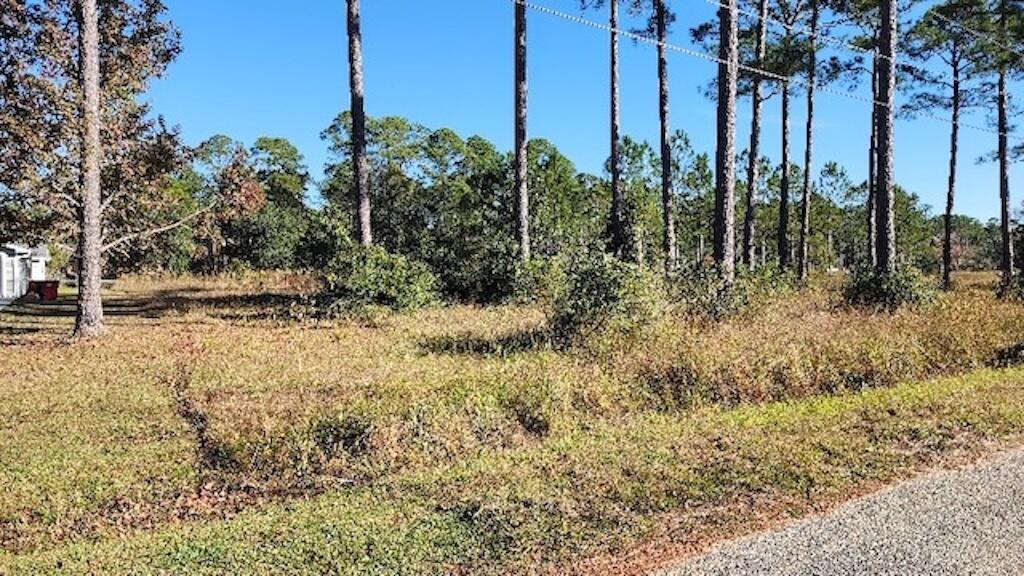 Water Access! Build your dream home on this beautiful lot! Located off of Ward Basin Rd, this 0.4 acre, interior lot has several trees near the front portion of the property and has easement access to the canal that connects to Blackwater Bay. The property is 5 minutes away from I-10, within 8 minutes of Hwy 87, within 15 minutes of Downtown Milton, within 30 minutes of Hwy 98 in Navarre. Come see this property today!