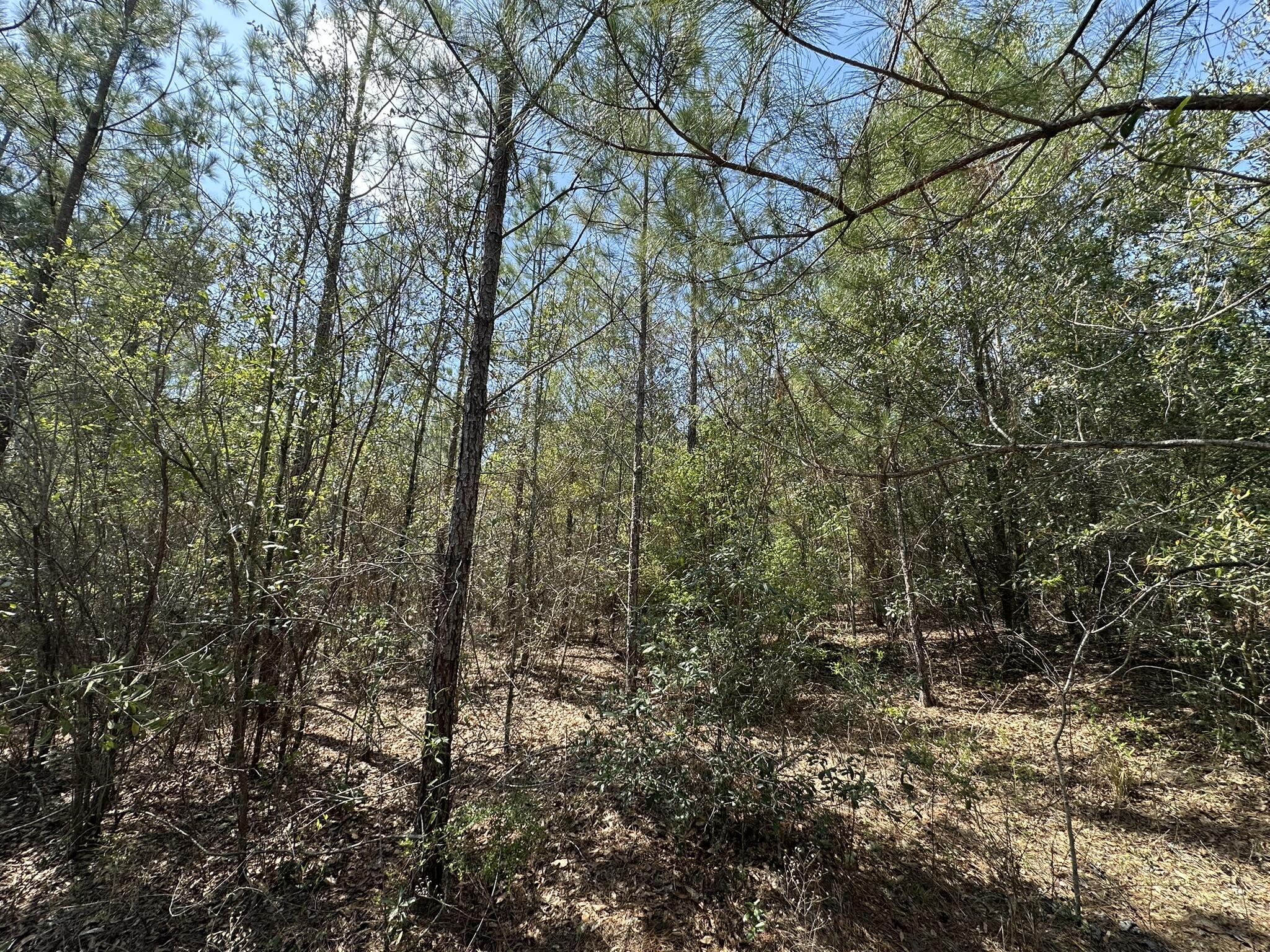 METES & BOUNDS - Land