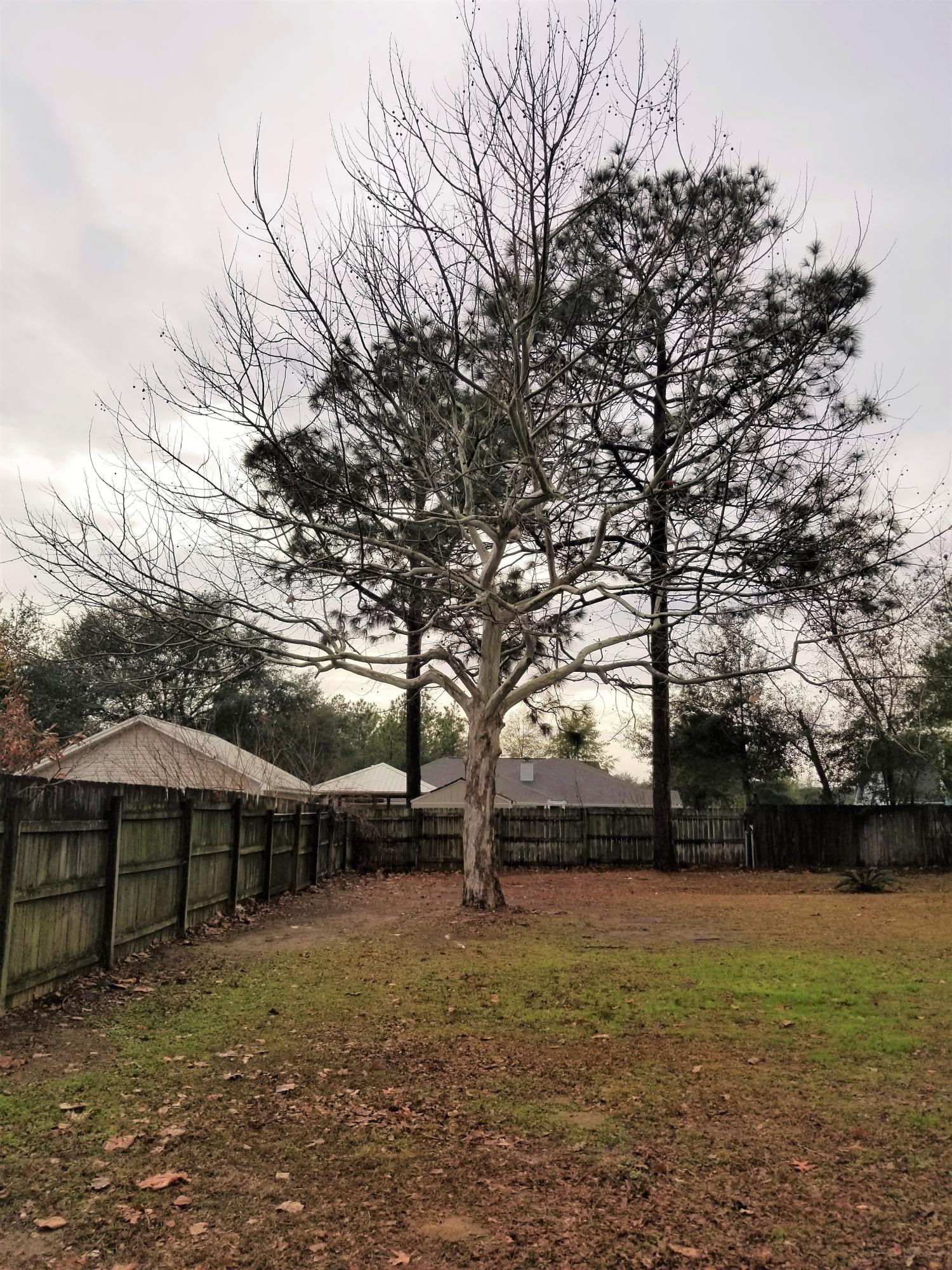 SHOAL WOOD EST 1ST PH III LOT 10 BLK D - Residential