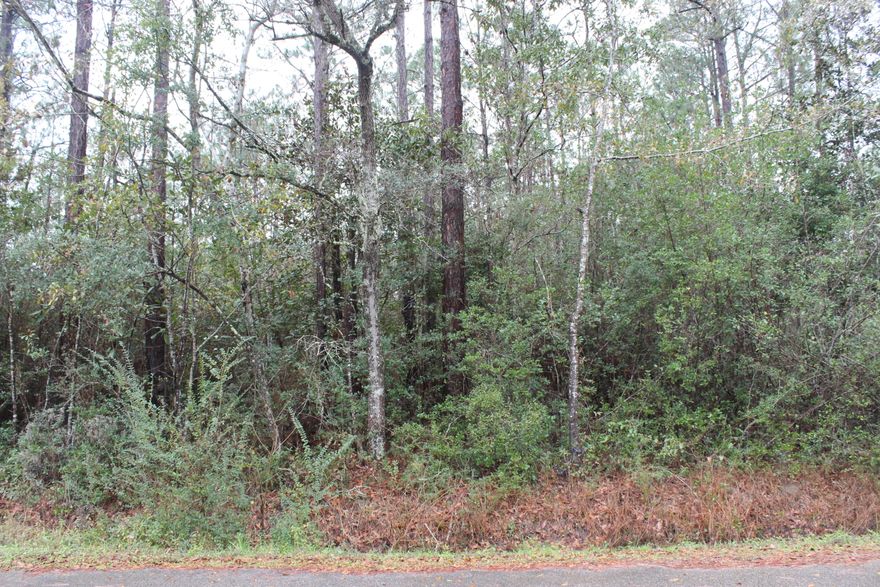Affordable and beautiful wooded lot in Avalon Beach.  It is on a paved road waiting for your dream home to be built!  Get easy access to water from one of the three boat launches in the area (Avalon Boat Ramp, Indian Bayou, Archie Glover Boat Ramp).  This lot is conveniently located I-10, Shopping, Restaurants, beaches, Pace, Gulf Breeze, and Pensacola. Buyer to verify all measurements and pertinent information.