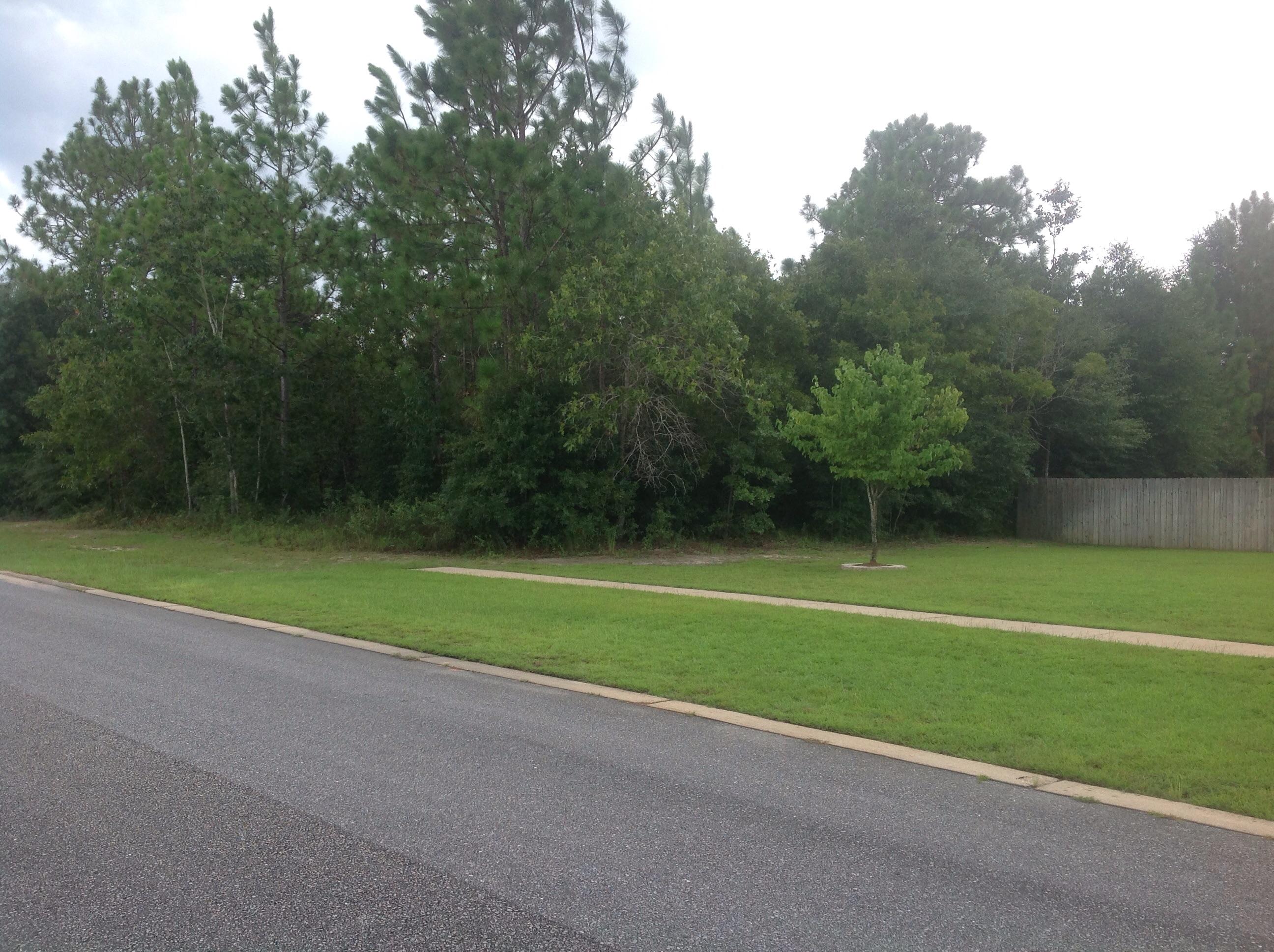 COLONY RIDGE PH I - Land