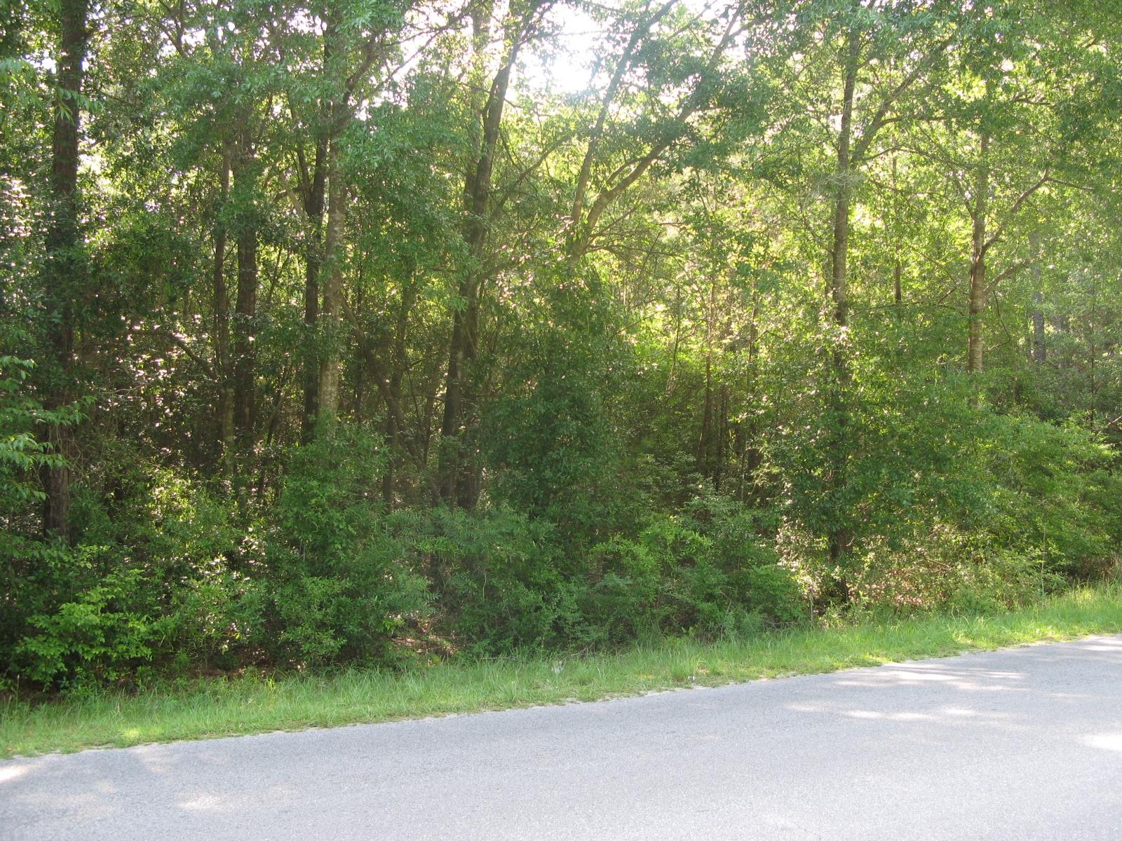 Nice wooded corner lot approx. 1 acre on paved street, less ROW.