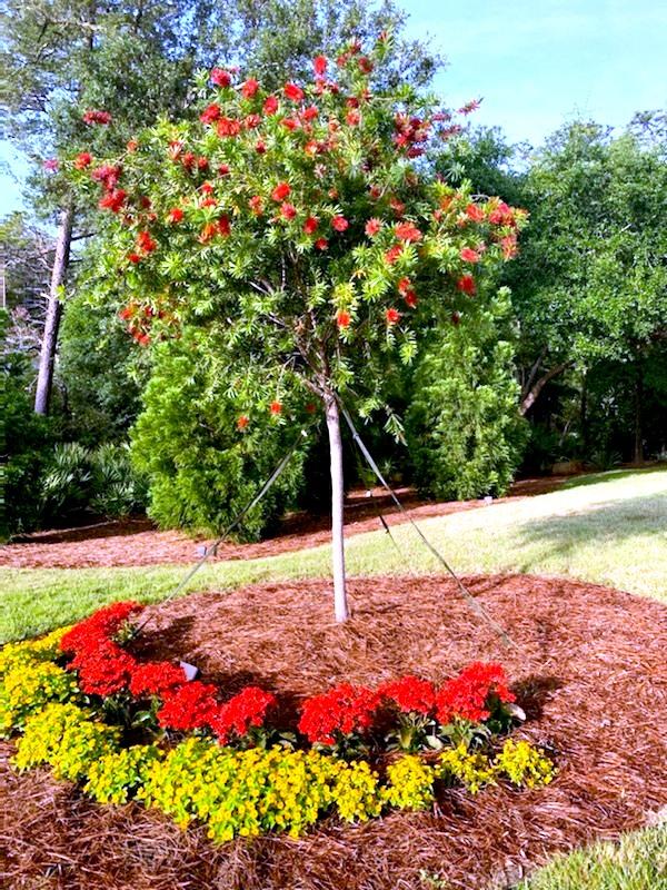 SWIFT CREEK PLANTATION - Residential