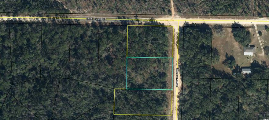 Large 1.089 acre lot in Compass Lake in the Hills. There is a voluntary HOA of $135 a year, but what a great price for all the amenities that are included such as: access to 2 lakes for fishing, tennis, horse stables / riding, rental cabins, RV spots, boat rentals, clubhouse, and a golf range. Being an all-sports lake, enjoy water skiing, tubing, jet skiing, boating, sailing, kayaking & swimming. No need to worry about lunch while out on the water when you have a boat accessible shoreline restaurant. This location is great for someone who enjoys nature and a short drive to the beach since it is located half way between Panama City And Dothan. seller has 3 lots here and willing to sell in a package