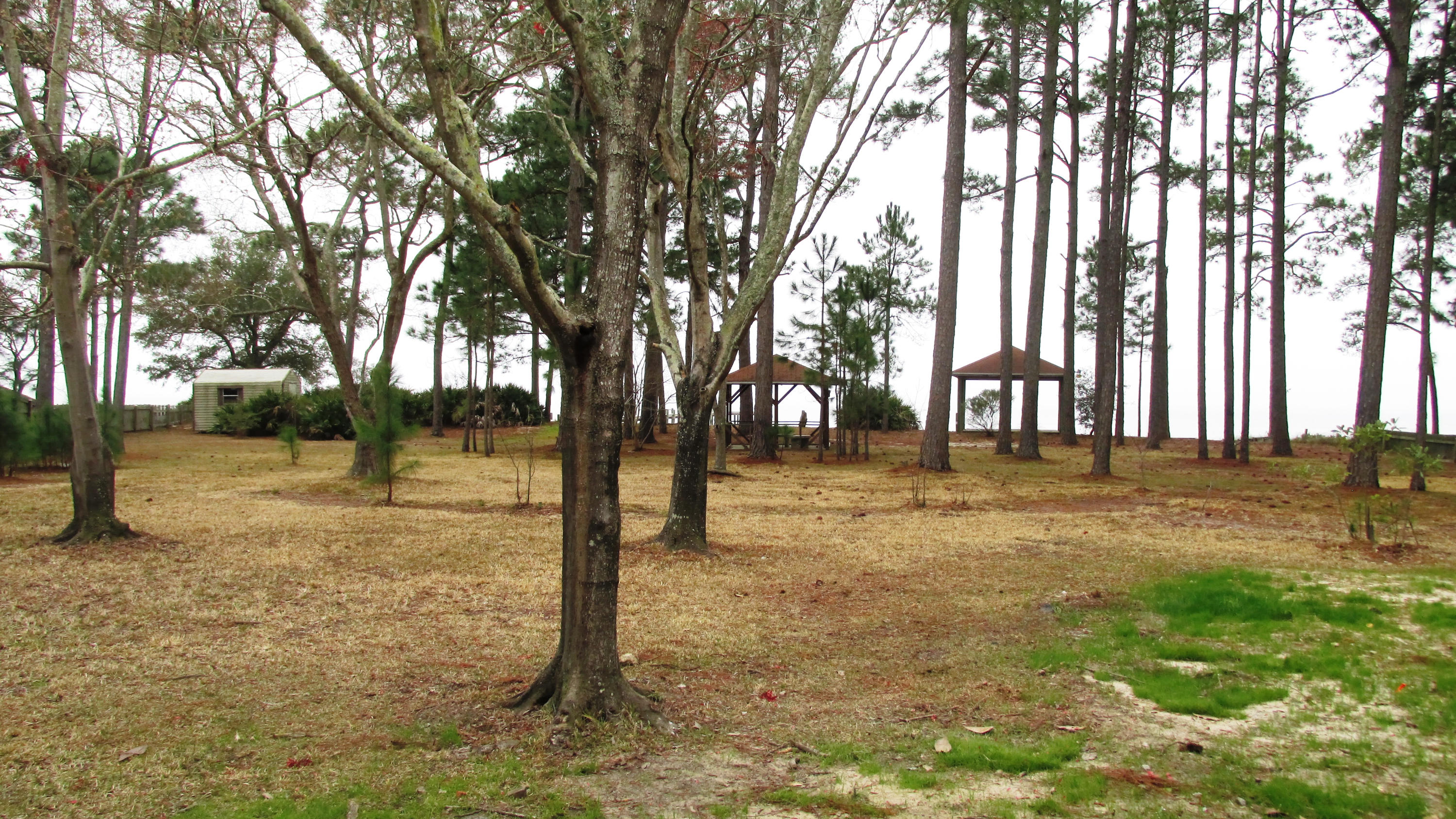 RAINTREE ESTATES - Residential Lease