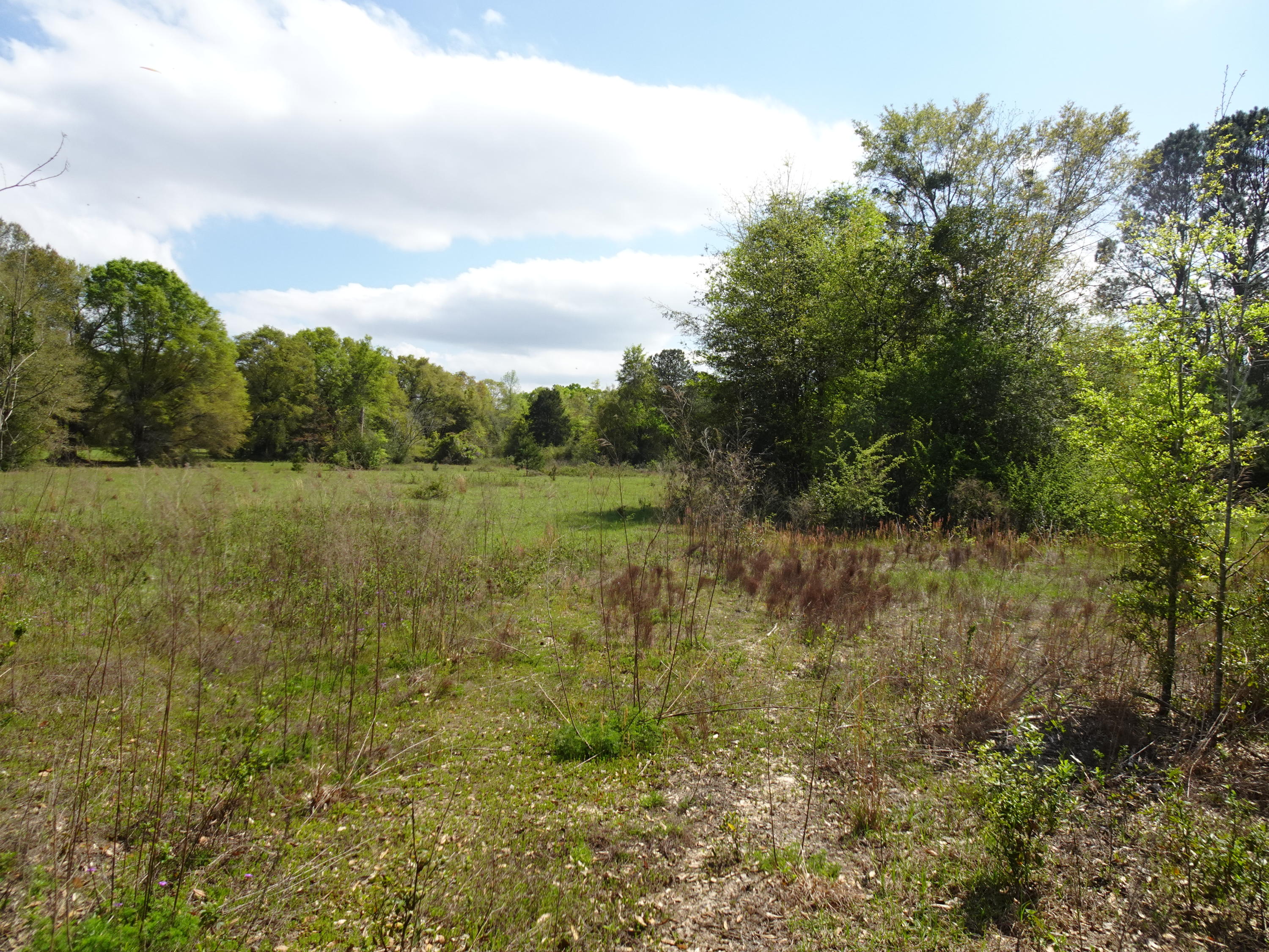 27 acres in Paxton on a paved road with city water in place. Property consists of pasture and woodlands. Also includes a 1,919 sq ft brick home in need of major repairs. Multiple roof leaks with mold present. Excellent location close to Hwy 85. Walton County Land Use map shows property to be Urban Residential with a density of 4 units per acre. This should be verified by the Walton County Planning Department.