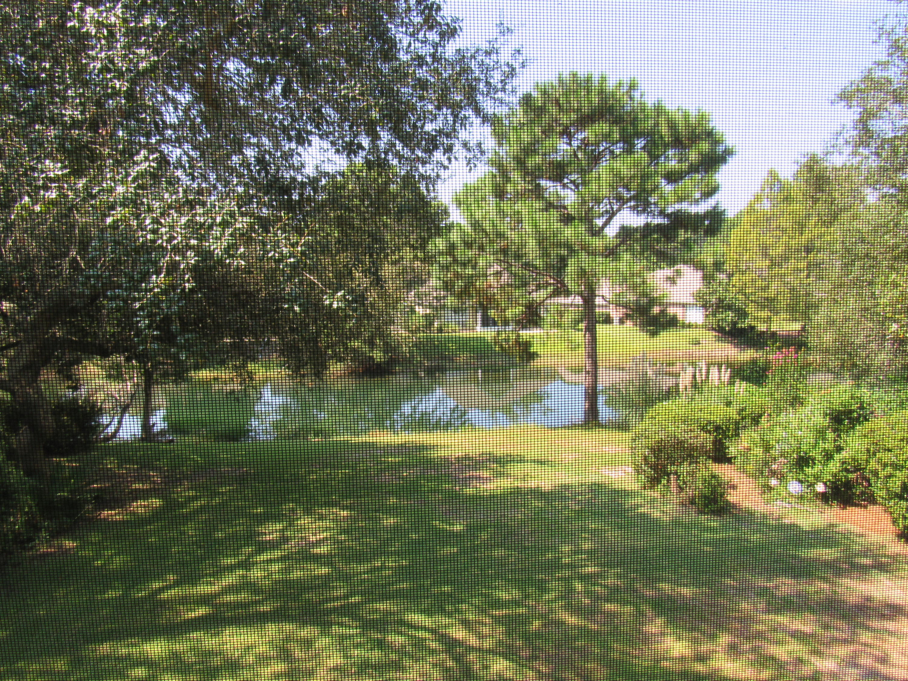 CARIBBEAN EAST - Residential