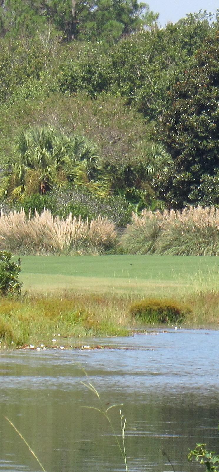 CARIBBEAN EAST - Residential