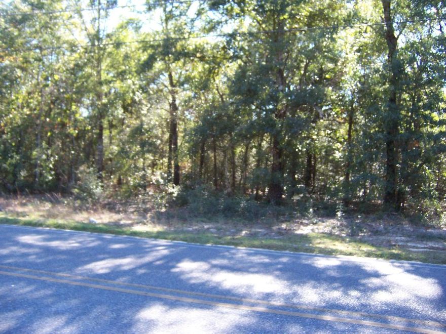 Approximately 7 acres on a paved road only  5 minutes from town. Level  lightly wooded acreage. Must see.  Several nice lakes and parks in the area.  Less than an hour to the beach.  Rural setting close to town. 3 more acres for sale next door.