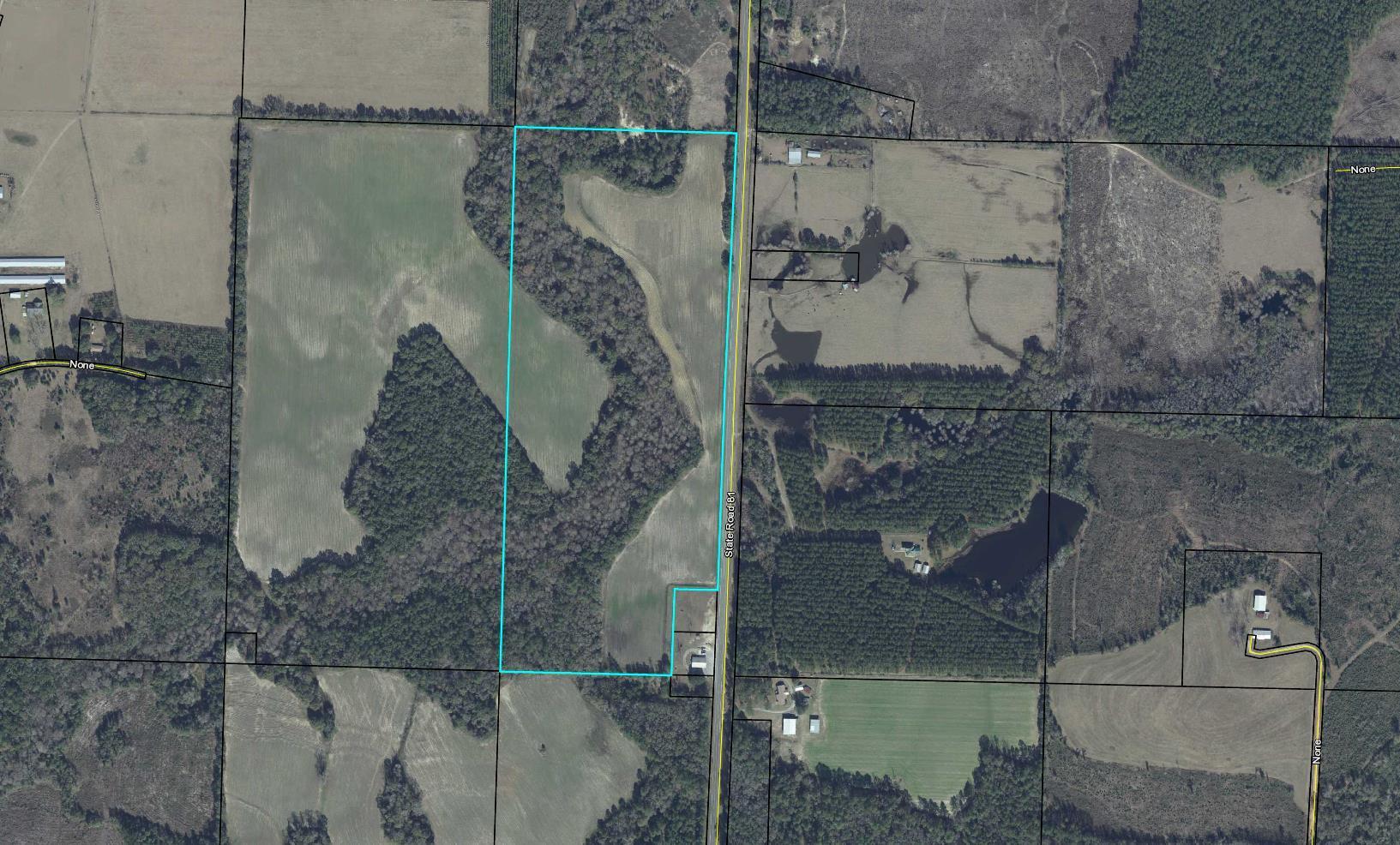 Great farm located in Northern Holmes County. This farm has 80+/- acres of cultivatable land and a beautiful creek running through the property covered in hardwoods. This tract is loaded with deer and turkey along with plenty of ducks and doves on the corn fields and peanut fields on the property. Plenty of beautiful home sites on this tract.