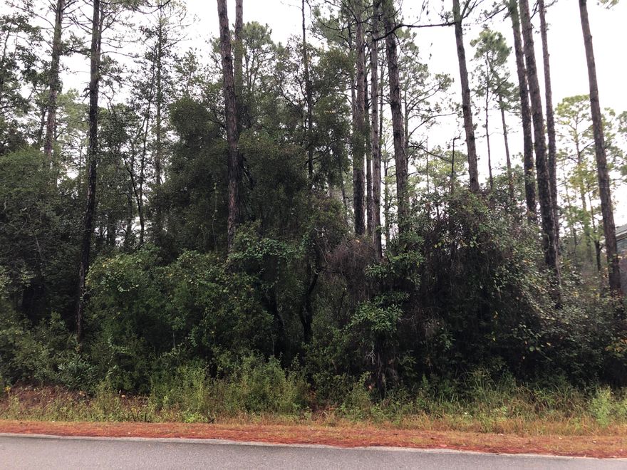 Great Lot in Magnolia Beach Subdivision, close to the Bay. Nice, wooded 50x150 homesite just 0.32 miles to Bay access at the end of Cabbage Rose Lane, and a 10 minute drive to Grayton Beach. Enjoy all that South Walton has to offer from this quiet, centrally located neighborhood. No mobile home are allowed, but also no HOA Dues, and no build-out time deadlines.Jurisdictional wetlands are present on this lot. A homesite could be filled with proper permitting from the appropriate regulatory agencies.