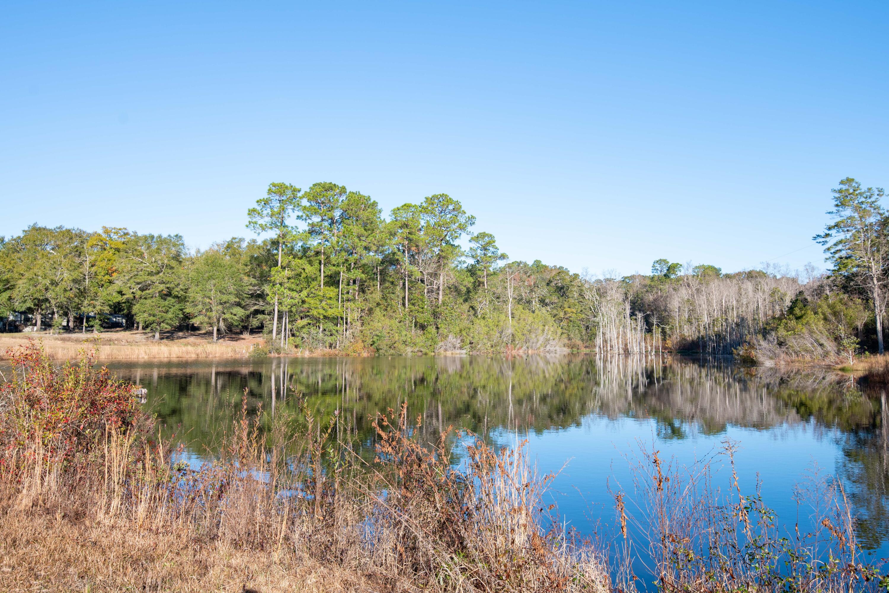BEAUTIFUL 20.43 acres. Build your homes, cottages, or guest houses on this piece of land. A little CREATIVE DESIGN that suit your lifestyle. CONVENIENT! 5 minutes to Baker Schools, stores, restaurants, Community Center, 5-10 minutes to the City of Crestview, 22 minutes to Duke Field, 33 minutes to Eglin AFB.