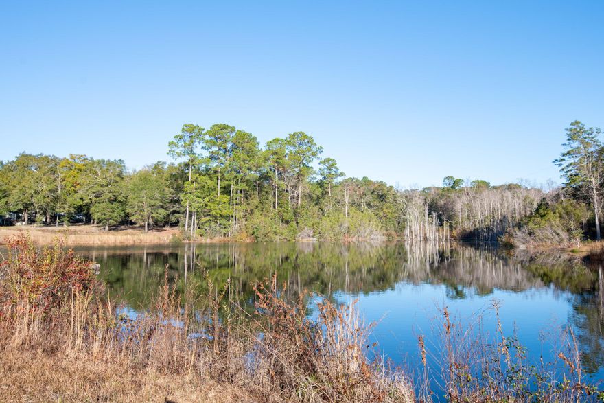 BEAUTIFUL 20.43 acres.  Build your homes, cottages, or guest houses on this piece of land.  A little CREATIVE DESIGN that suit your lifestyle.  CONVENIENT! 5 minutes to Baker Schools, stores, restaurants, Community Center, 5-10 minutes to the City of Crestview, 22 minutes to Duke Field, 33 minutes to Eglin AFB.