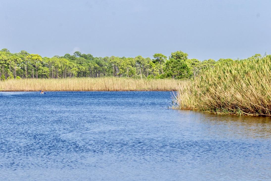 GRAYTON BEACH - Residential