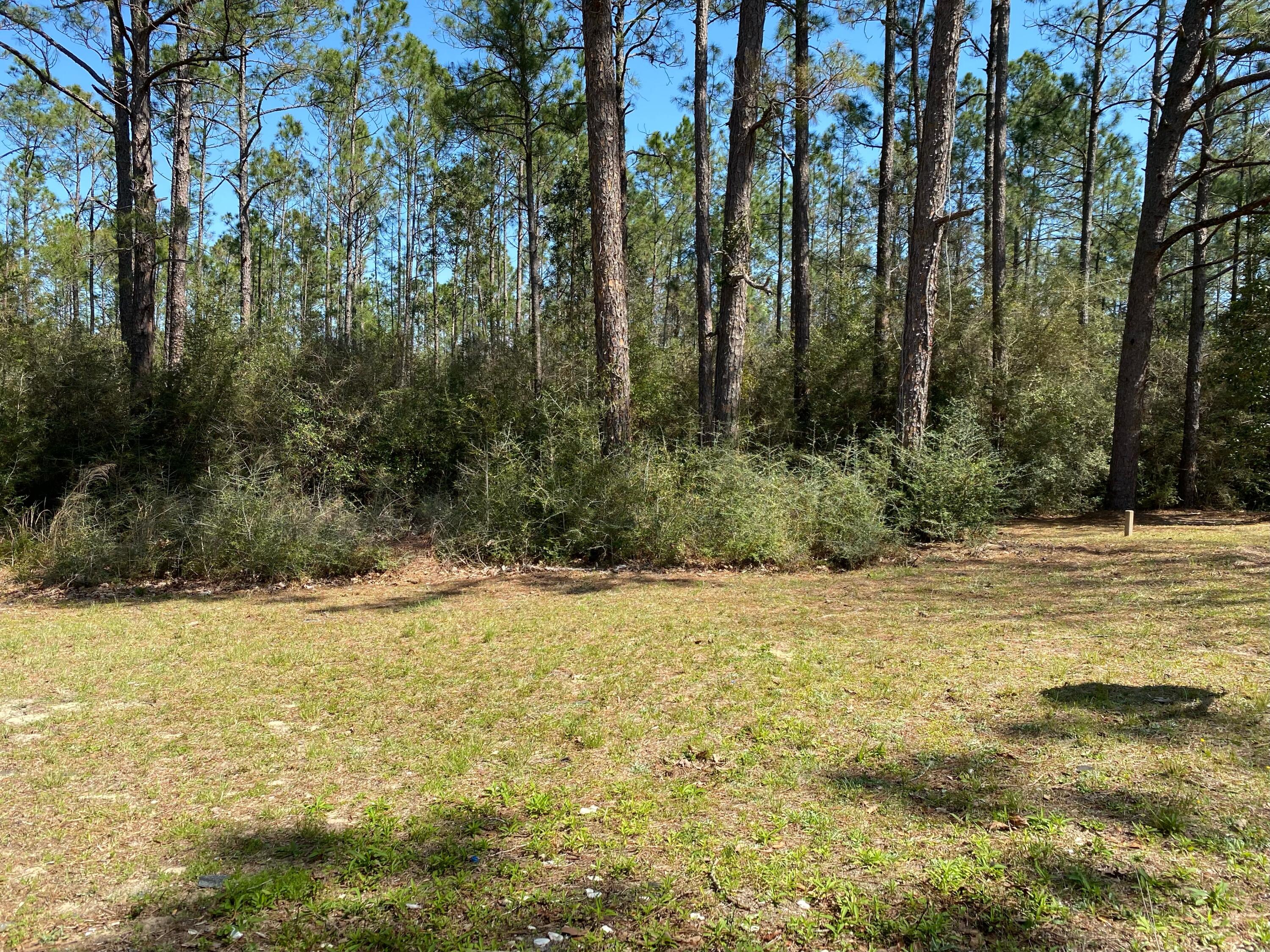 LAKE SILVER 1ST ADDN - Residential