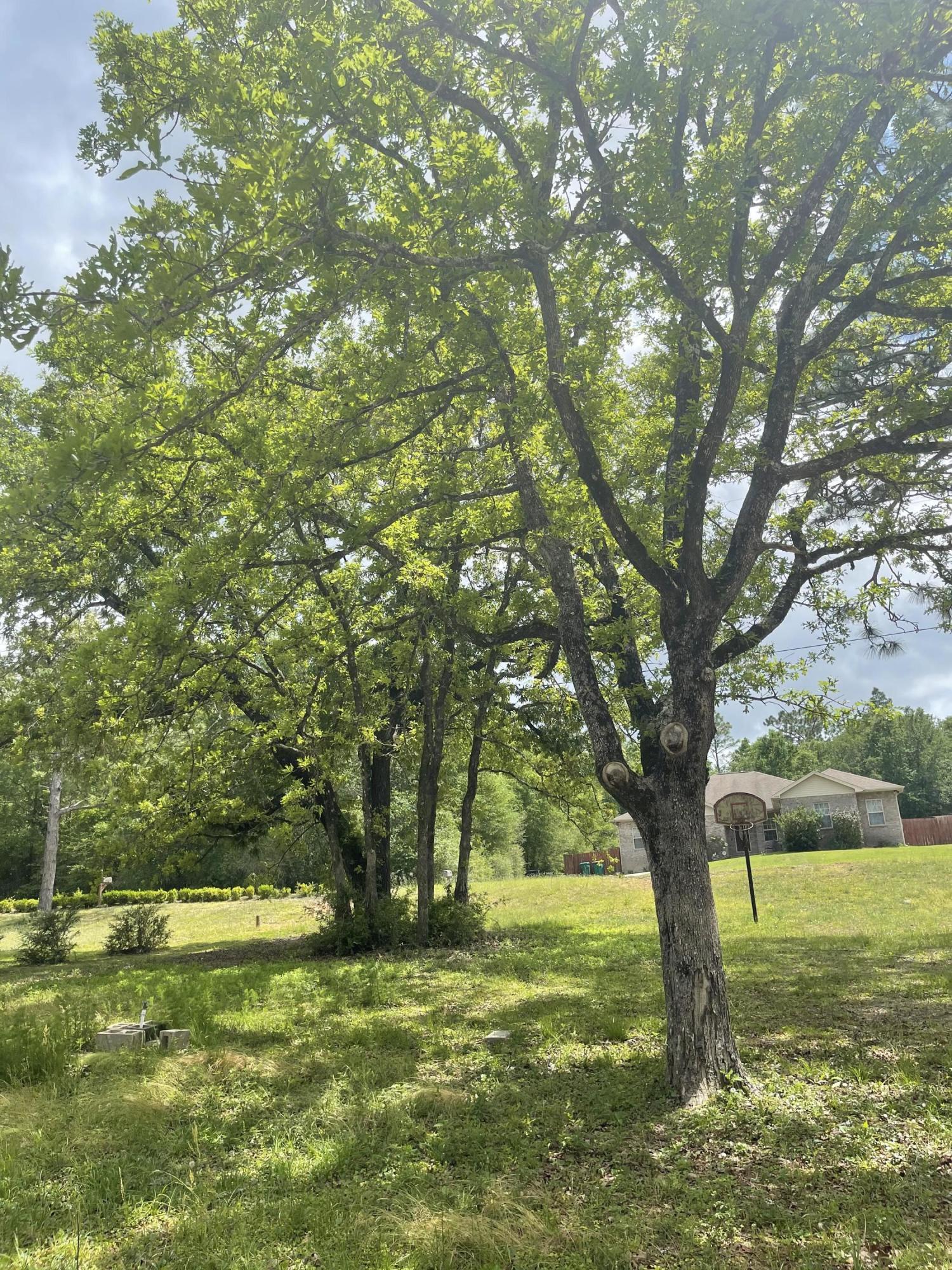 LAKE SILVER 1ST ADDN - Residential