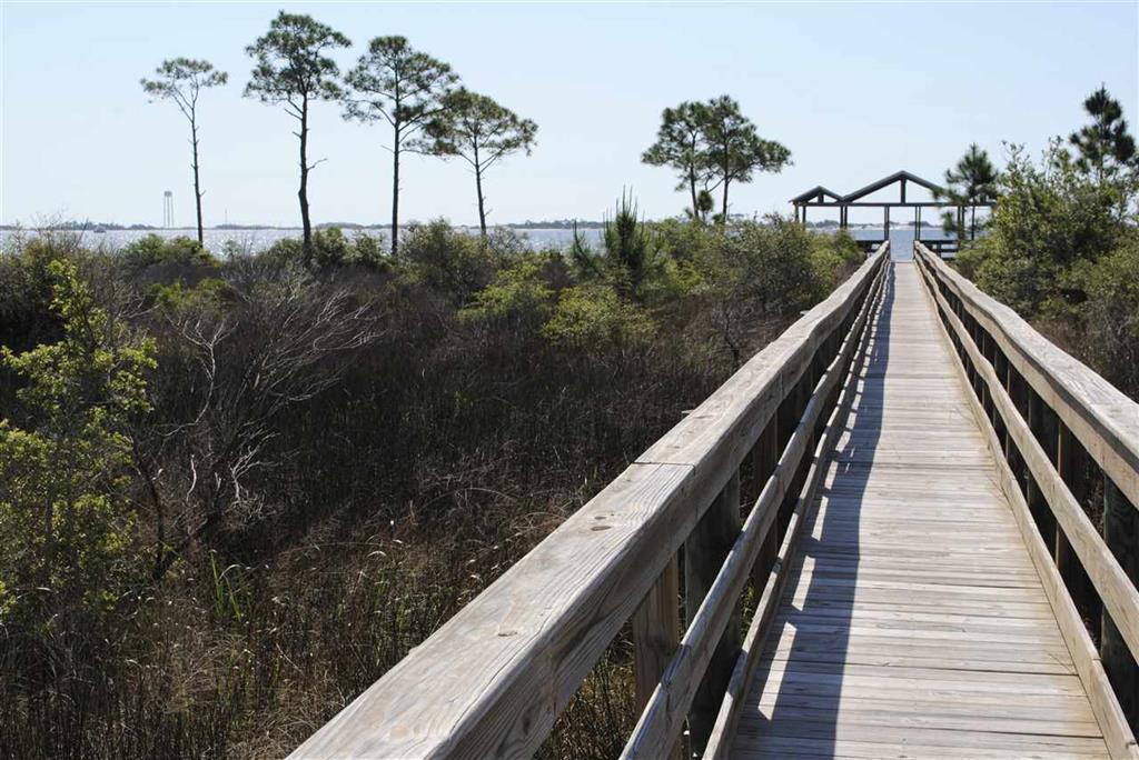 BISCAYNE POINTE - Residential