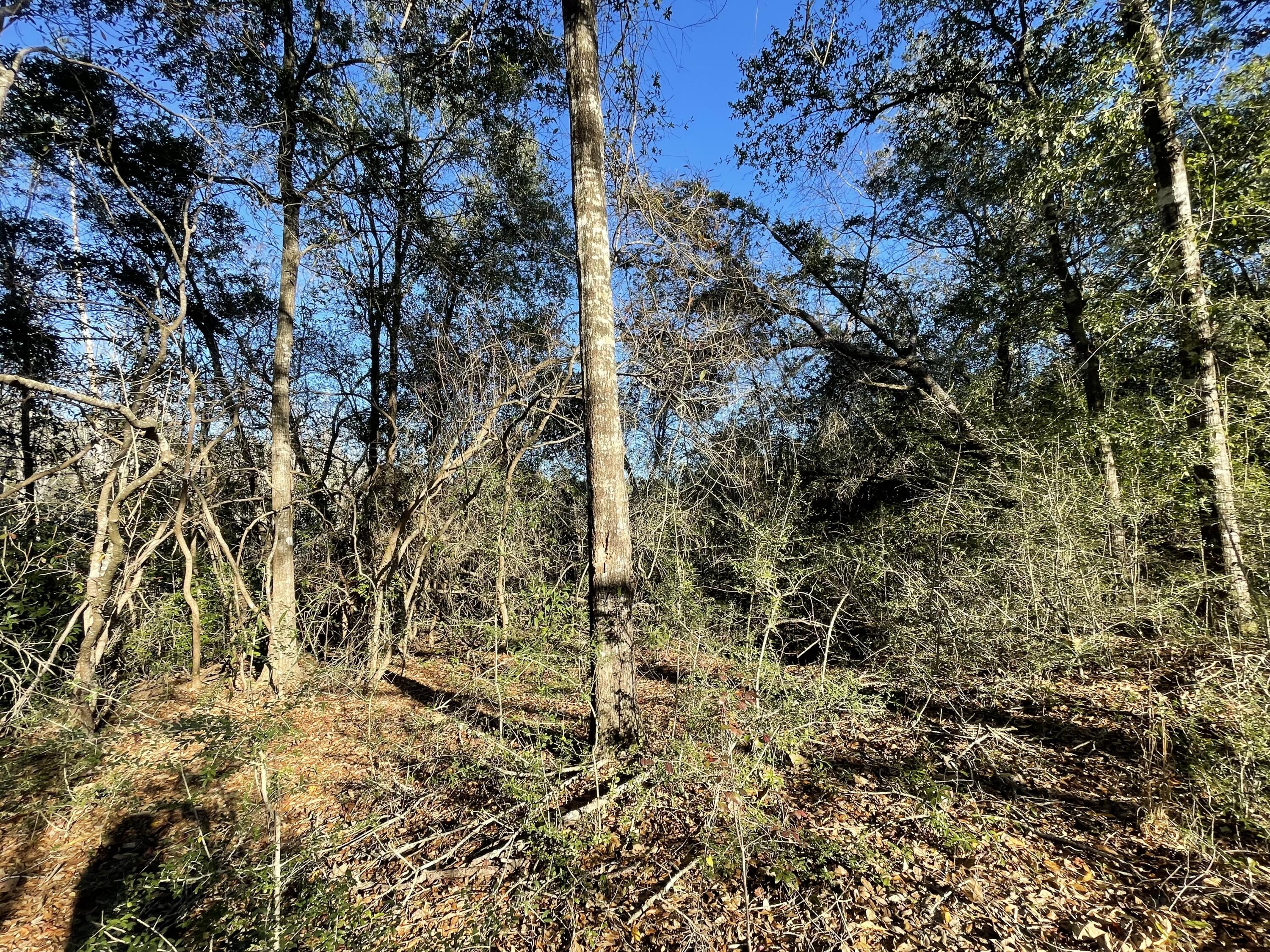 Habersham - Residential