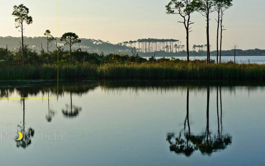 Amazing Opportunity to build your dream home in the most desirable neighborhood on 30A. LakePlace @ Grayton Beach is a lovely gated community situated on 30A, along the Banks of Western Lake, a rare coastal dune lake that's a popular spot for fishing, kayaking & paddle boarding to the white sands of Grayton Beach. LakePlace is a short walk/bike from the beautiful Gulf of Mexico & offers a peaceful retreat. The neighborhood features a community pool, green space & a dock great for relaxing & enjoying the amazing views of Western Lake. What makes LakePlace amazing is the beautiful Oak trees, lush greenery & wonderful neighbors!Walk/bike to great restaurants, Seaside, Watercolor & other exciting places. Come visit LakePlace & you'll understand why it's the most desirable community on 3