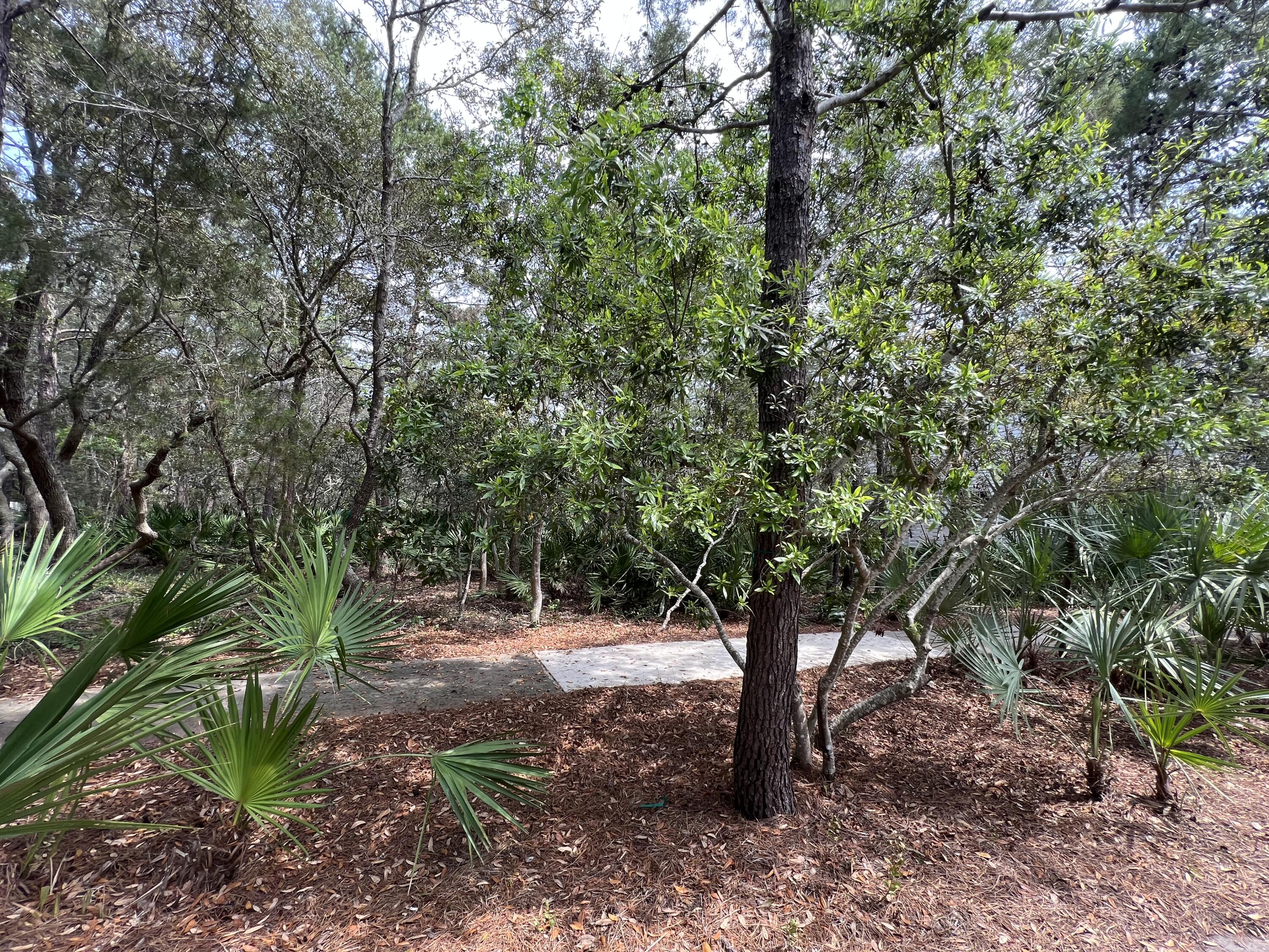 LAKE PLACE AT GRAYTON BEACH - Land