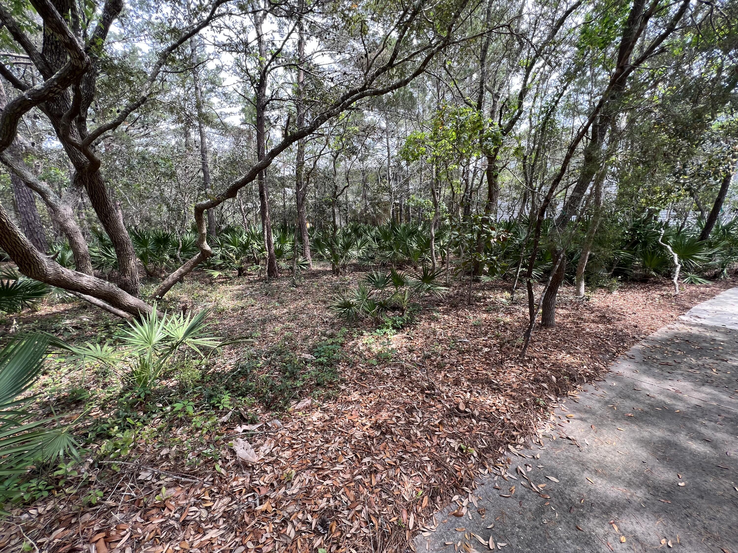 LAKE PLACE AT GRAYTON BEACH - Land