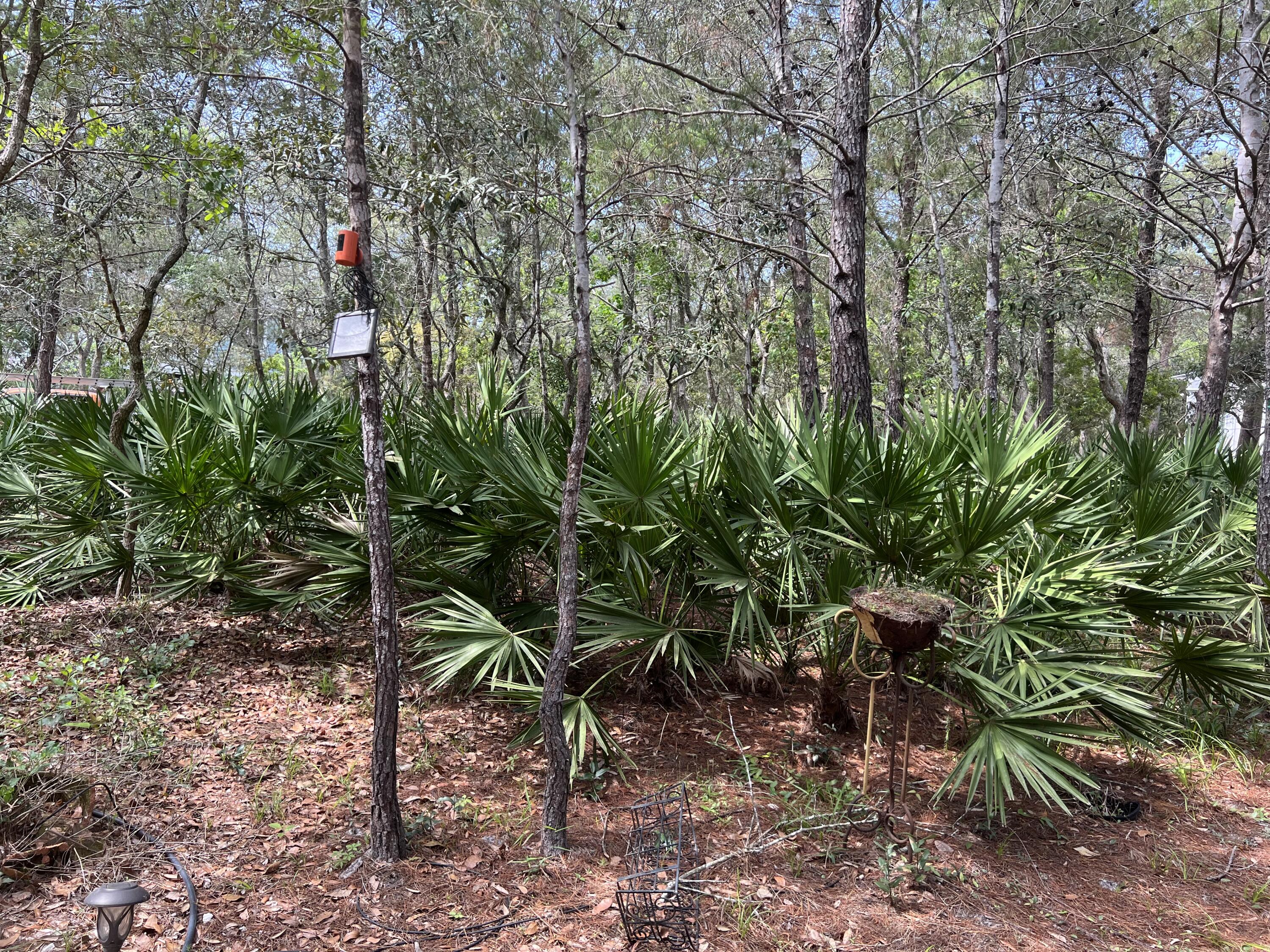 LAKE PLACE AT GRAYTON BEACH - Land