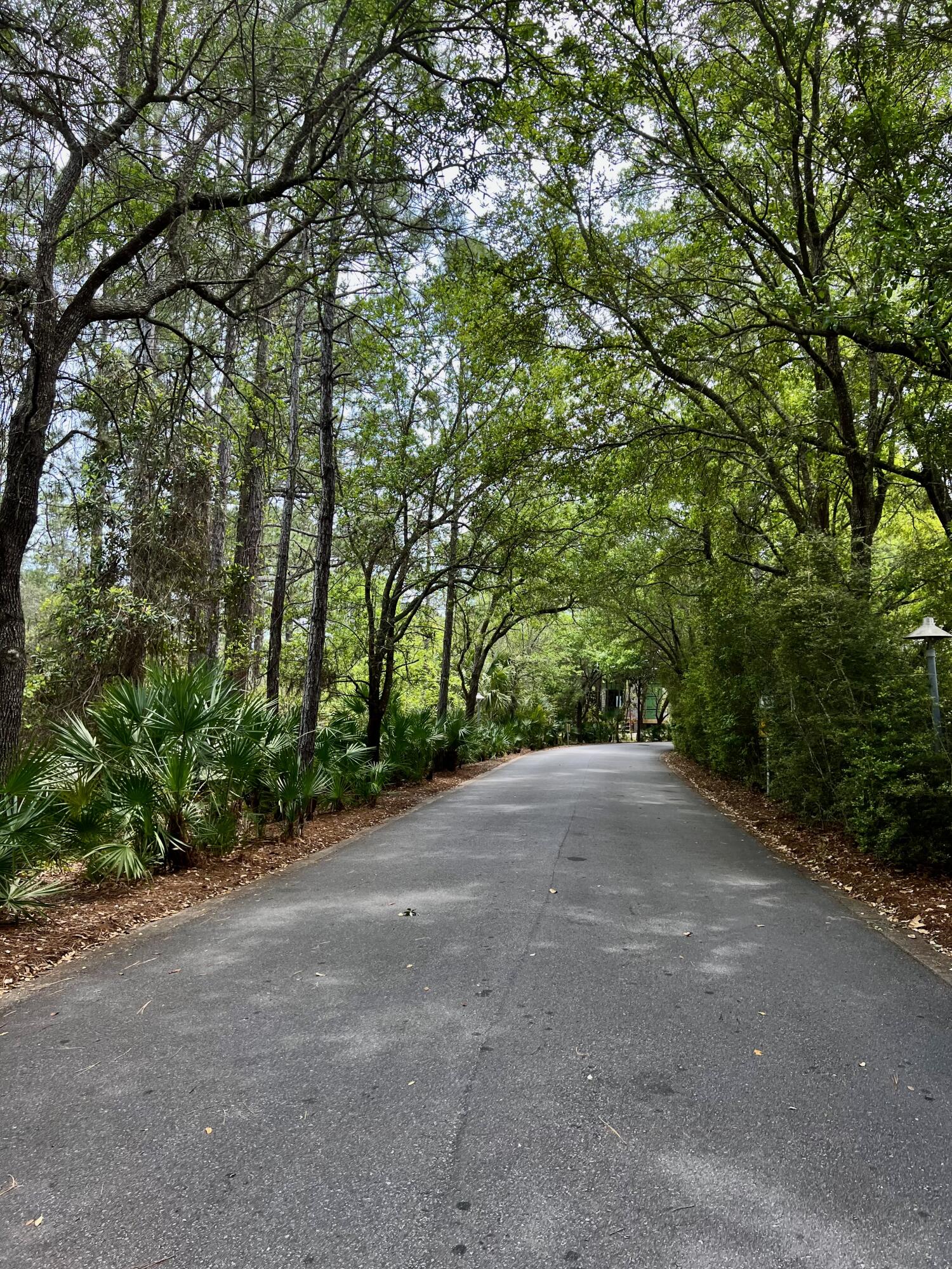 LAKE PLACE AT GRAYTON BEACH - Land