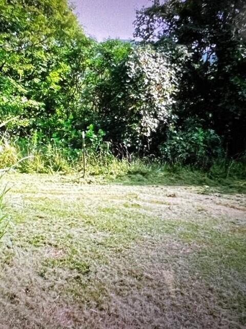 FOUR MILE VILLAGE - Land