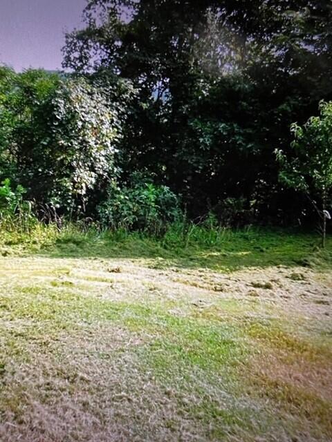 FOUR MILE VILLAGE - Land