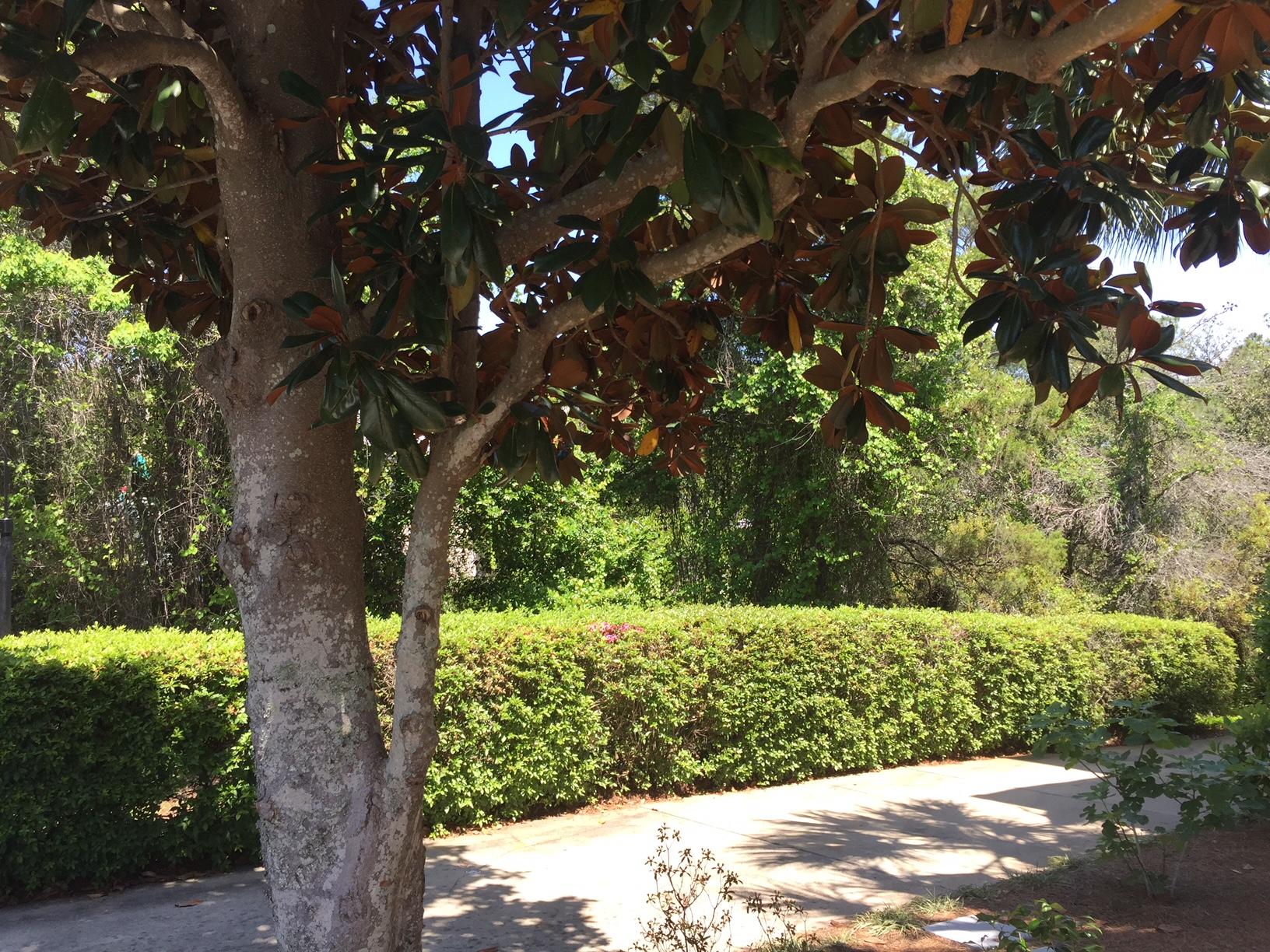 CALYPSO POINTE - Land