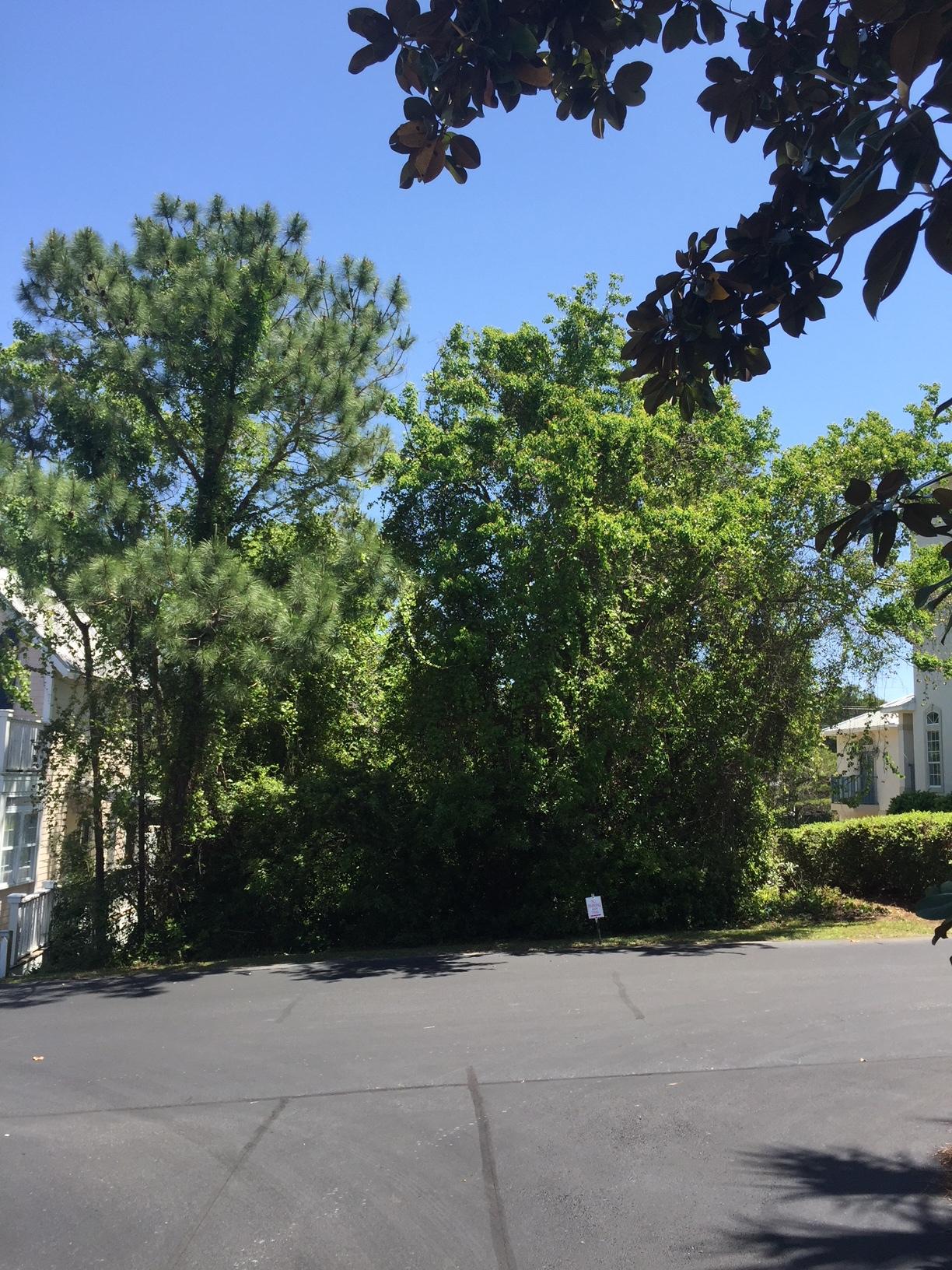 CALYPSO POINTE - Land