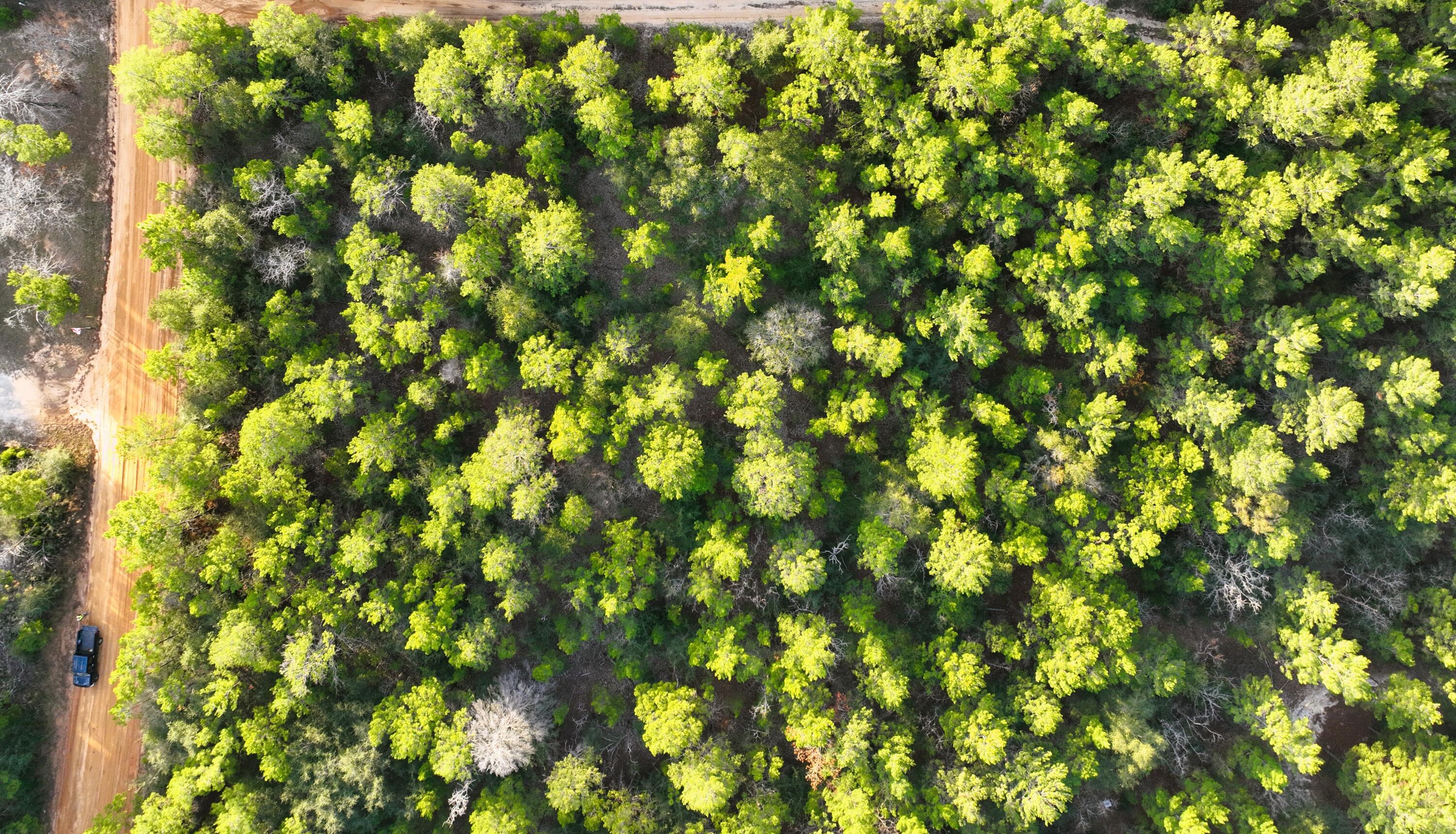 OAKWOOD HILLS UNIT 5 - Land