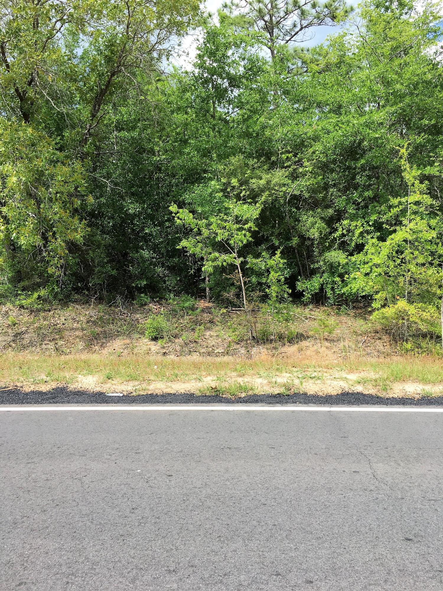 LAKE JUNIPER ESTATES UNIT 3 - Land