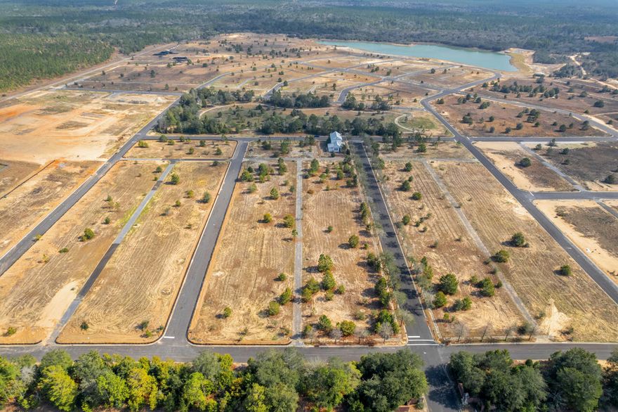 Welcome to this unique traditional neighborhood development community, situated near the heart of historic Freeport, FL! Owl's Head features residential single-family homes and boasts a beautiful pristine lake, an interior central park, private alleys to rear entry garages and elevations of over 100 feet above sea level. Close proximity to hiking trails, shopping, dining, Publix, Freeport High School, and more! Build your new home here and take part in this new and vibrant community!