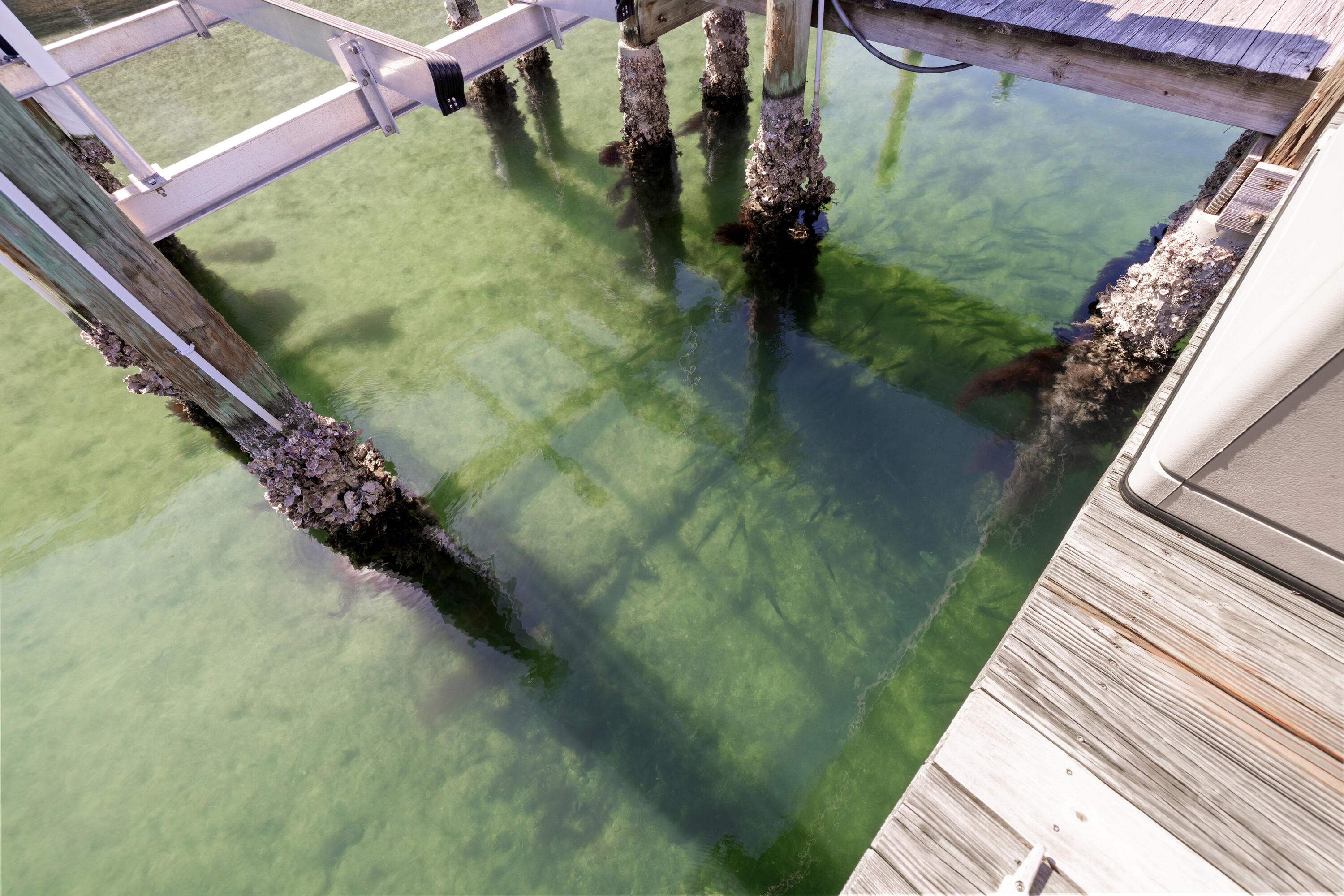 PALM COURT YACHT CLUB - Residential