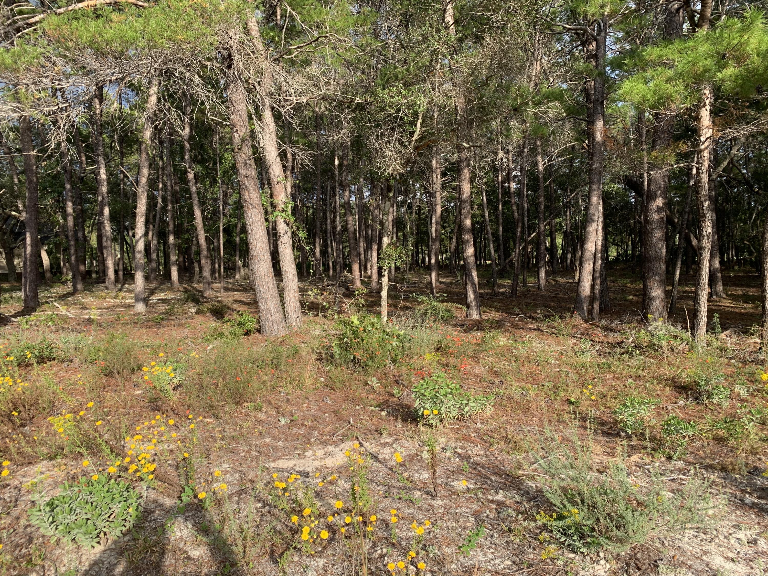 WILD HERON PHASE III - Land