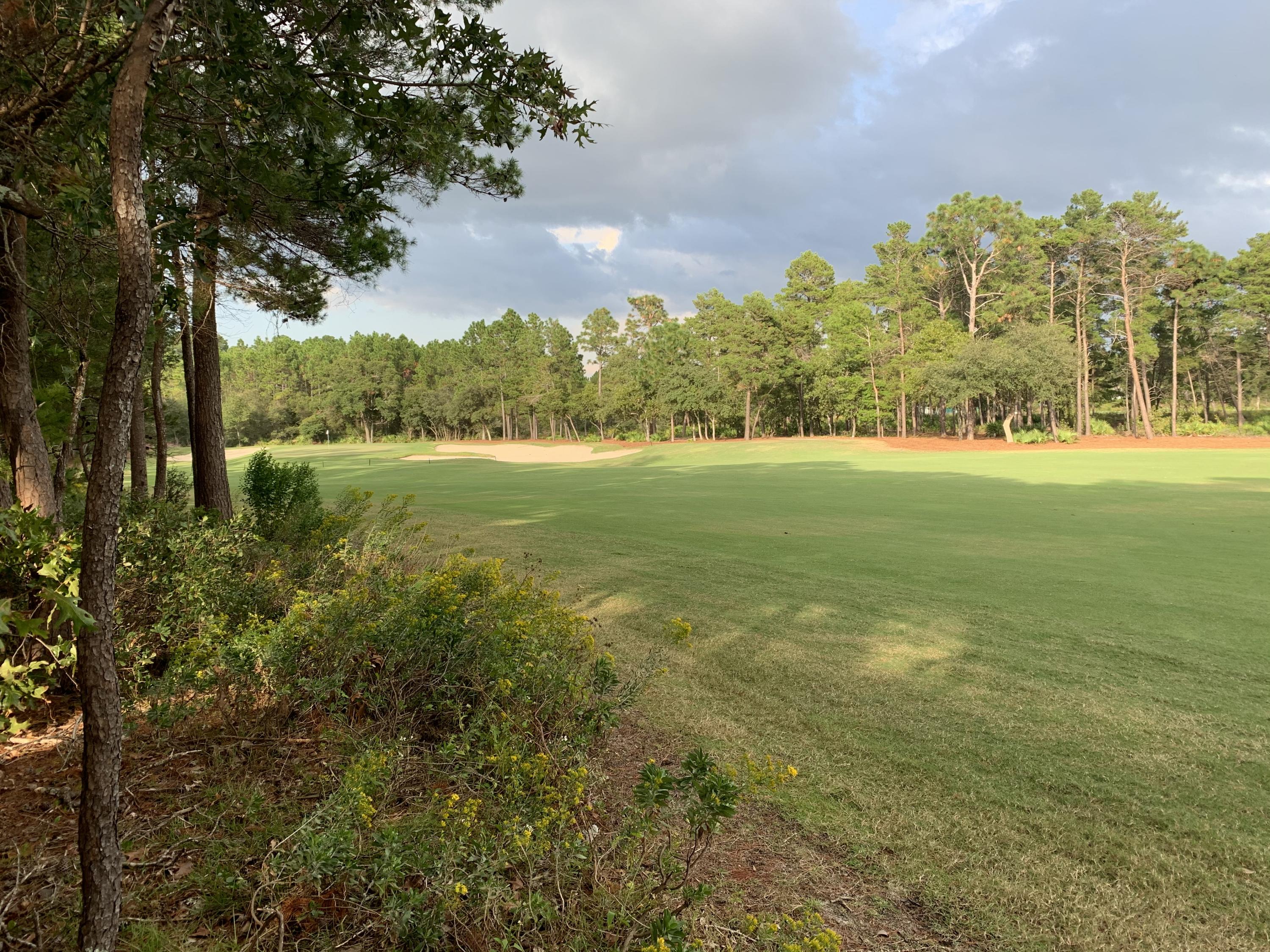 WILD HERON PHASE III - Land