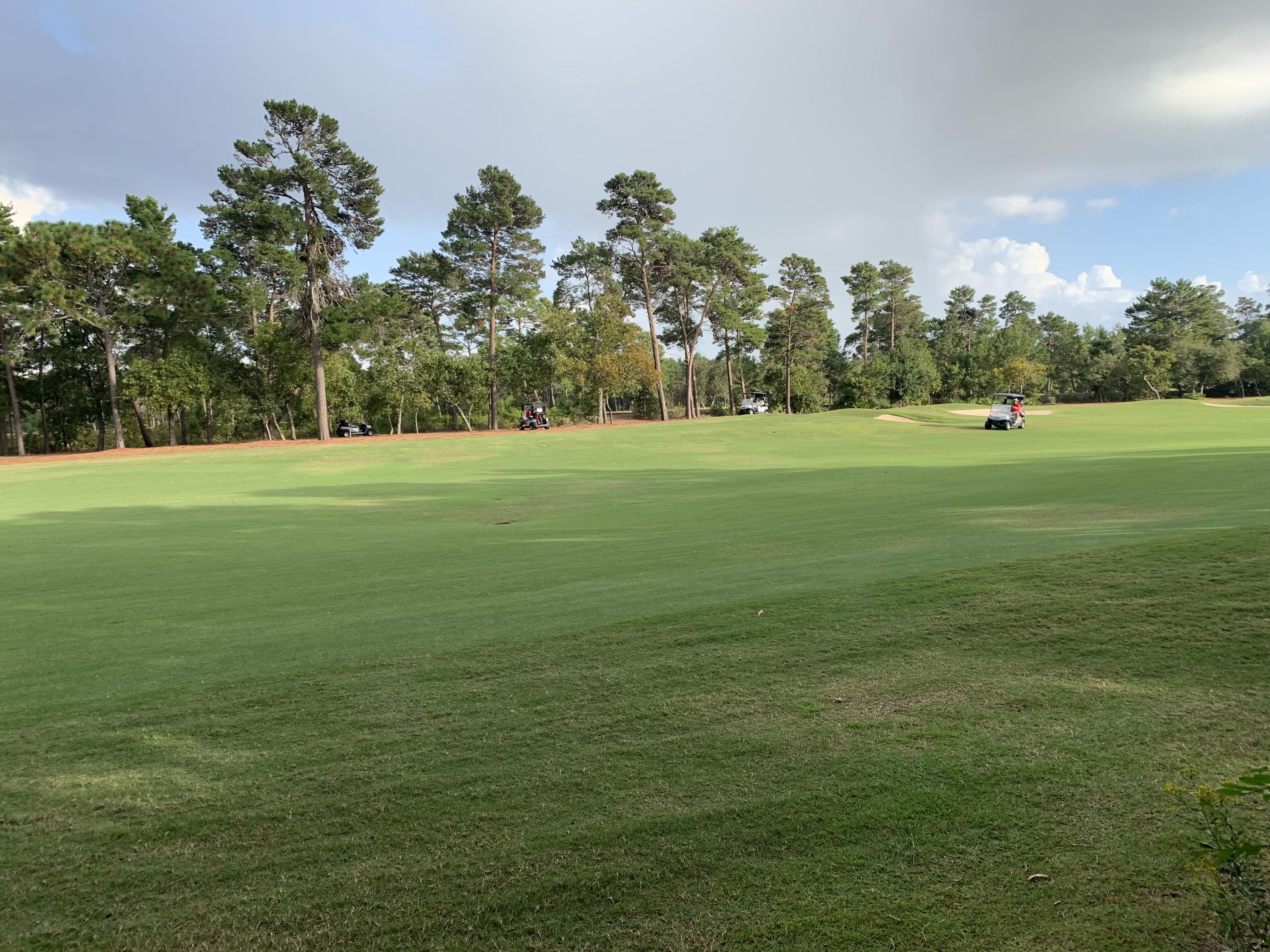 WILD HERON PHASE III - Land