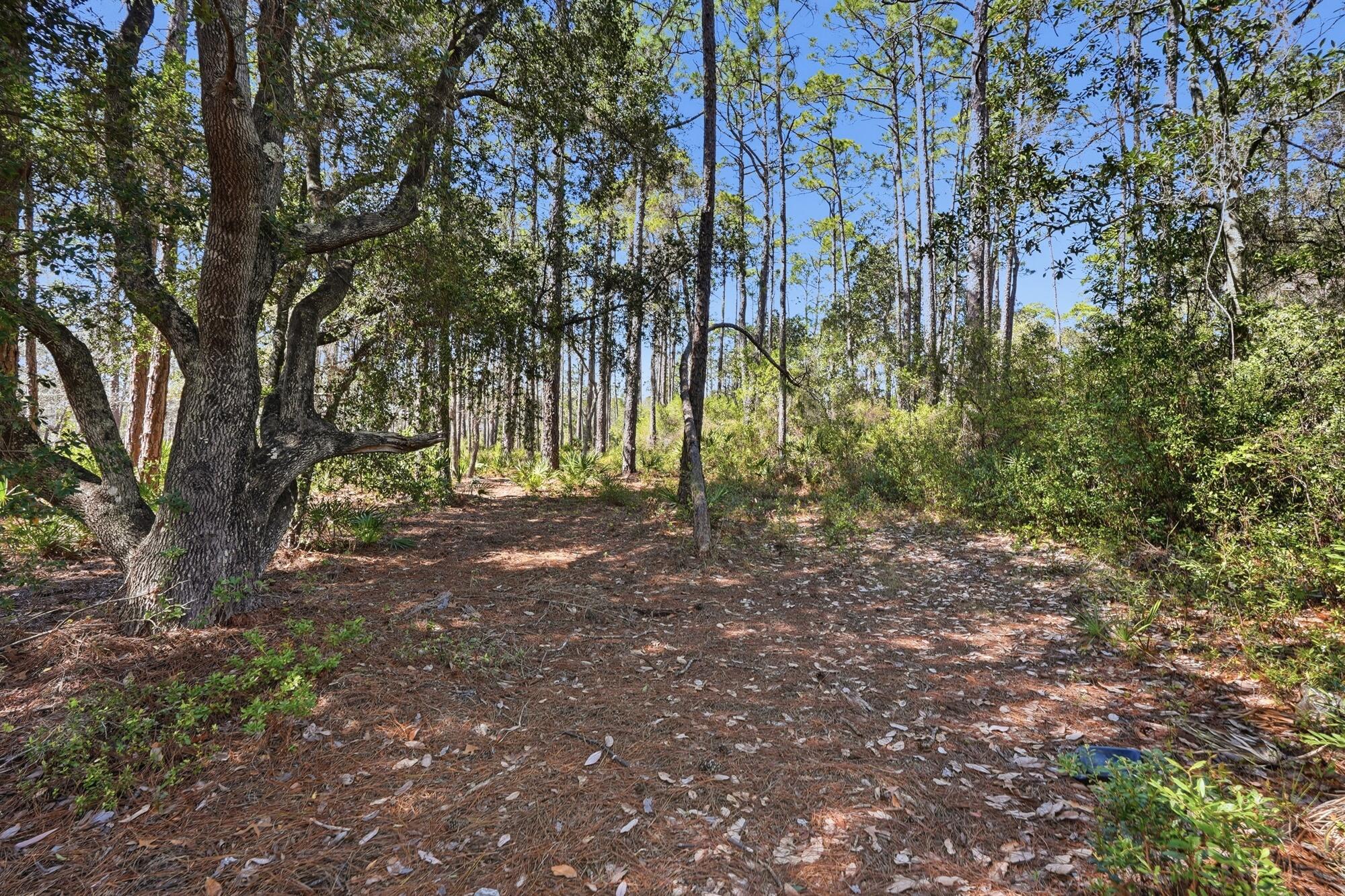 WILD HERON PHASE I - Land