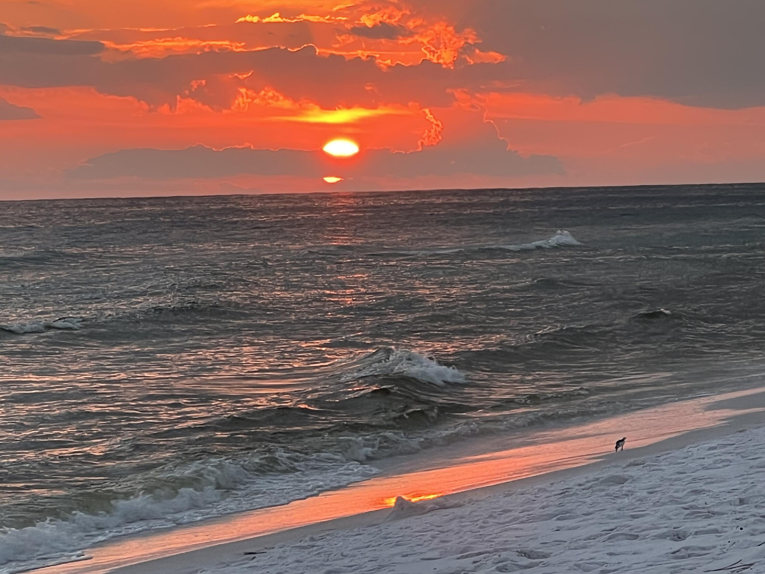 WINDSWEPT ESTATES - Residential