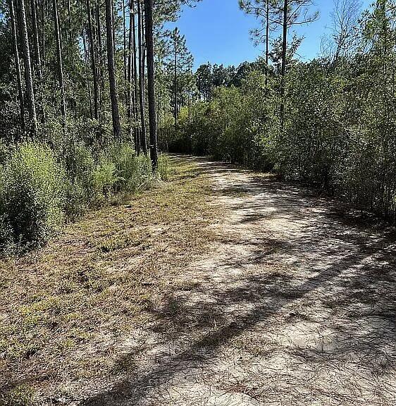 WINDSWEPT ESTATES - Residential