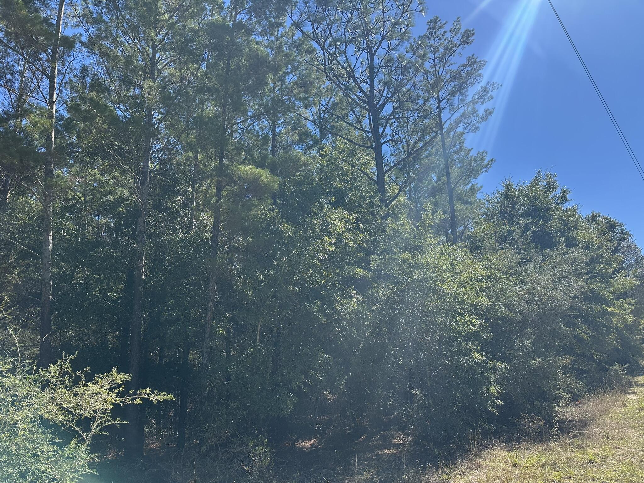 UNRECORDED SUBDIVISION - Land