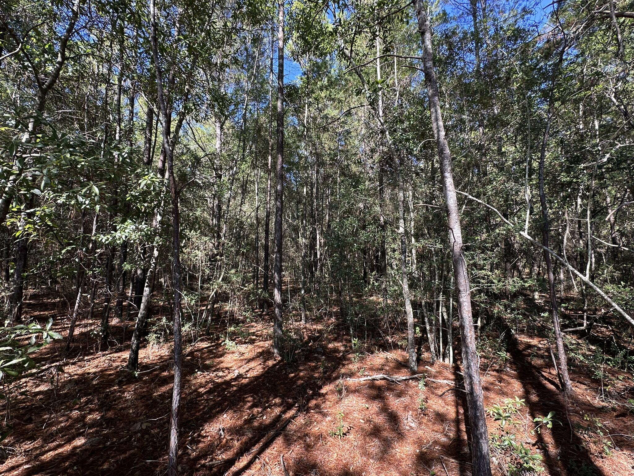 UNRECORDED SUBDIVISION - Land