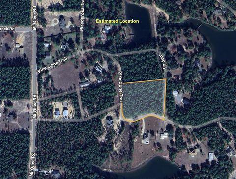 Photo of Parcel HH Pine Cone Trail, Mossy Head, FL 32434 (MLS # 988161)